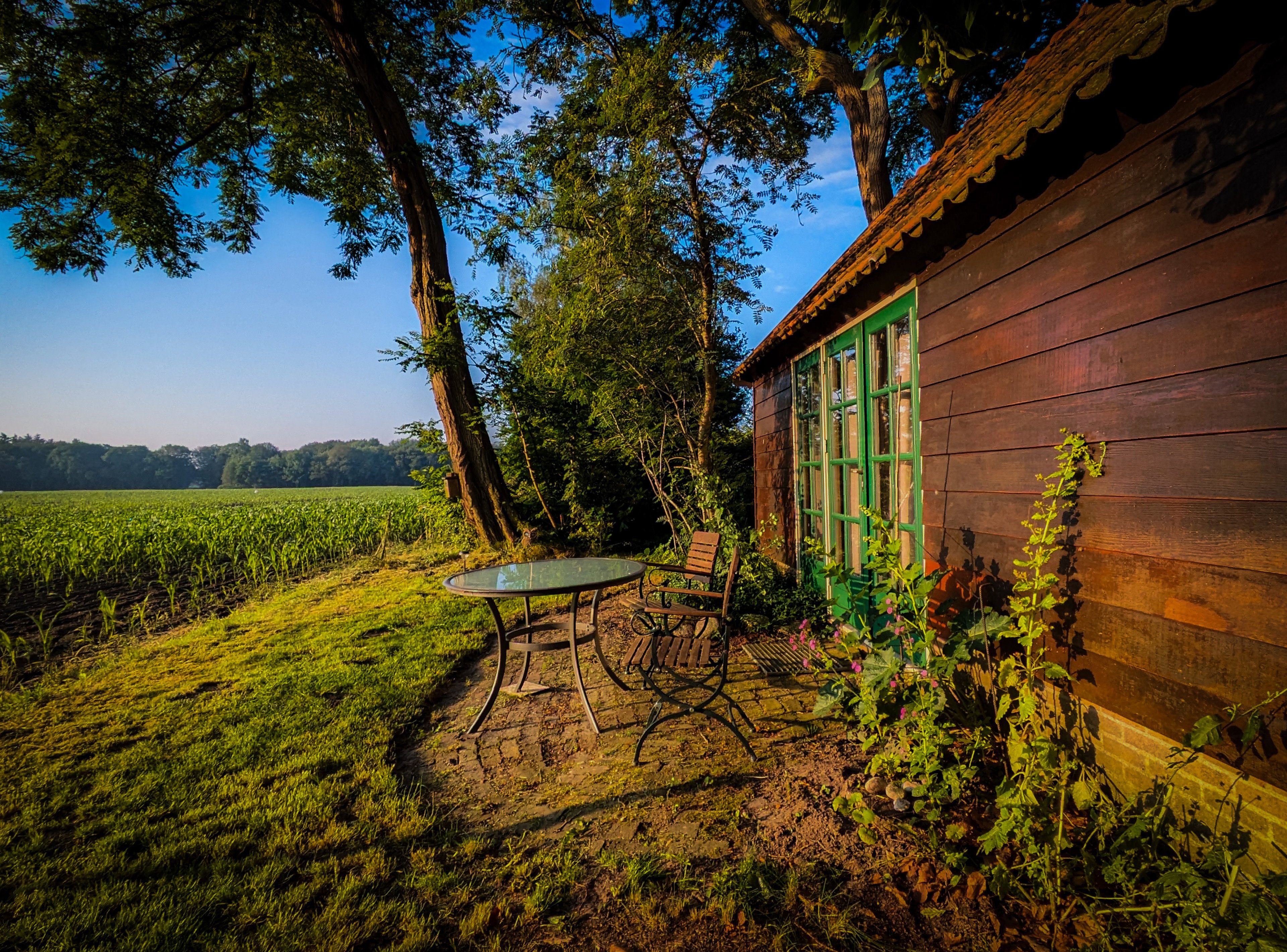 Naturhäuschen in Ommen