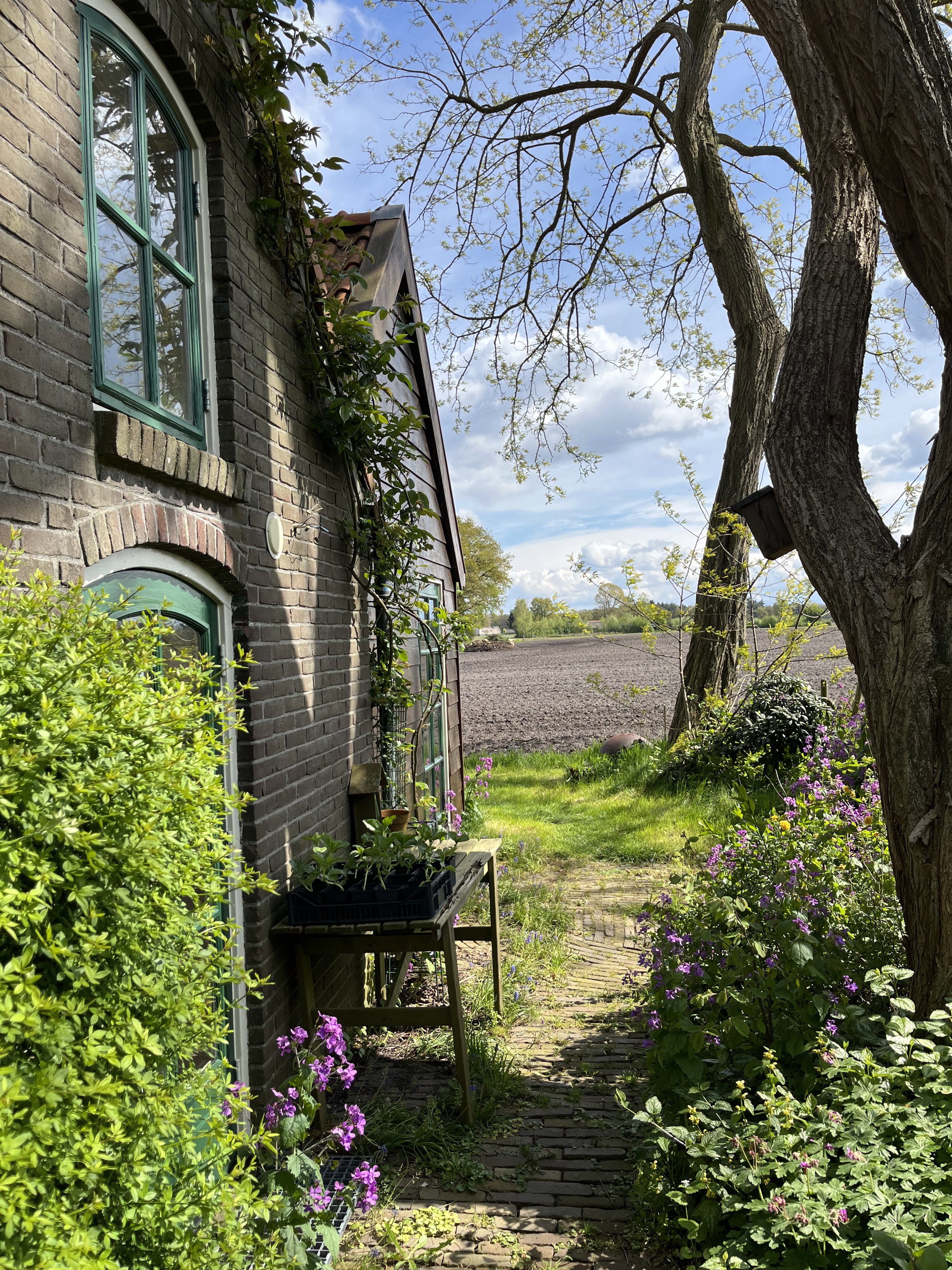 Naturhäuschen in Ommen
