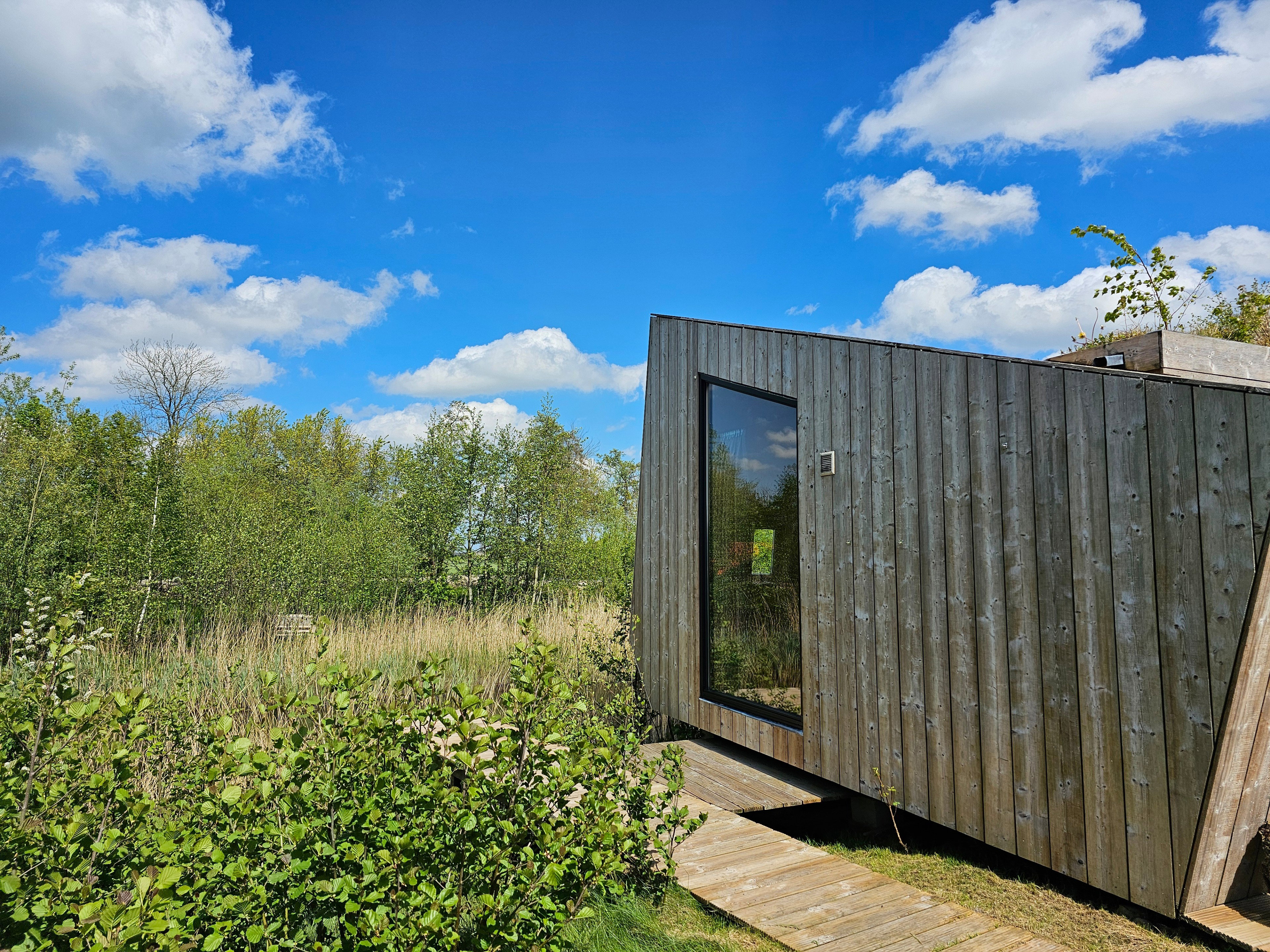 Casa nella natura a Westergeest