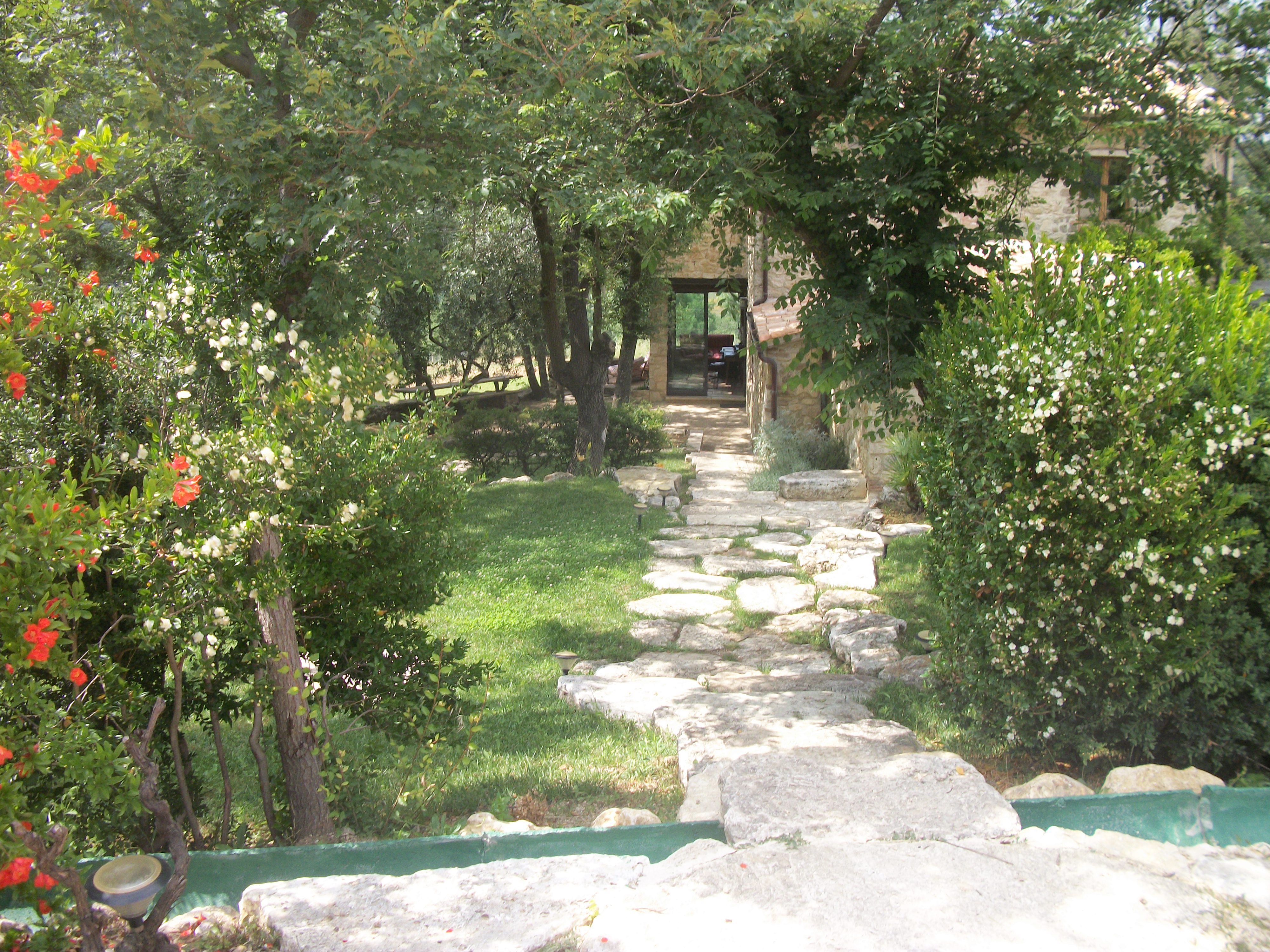 - image: 24
