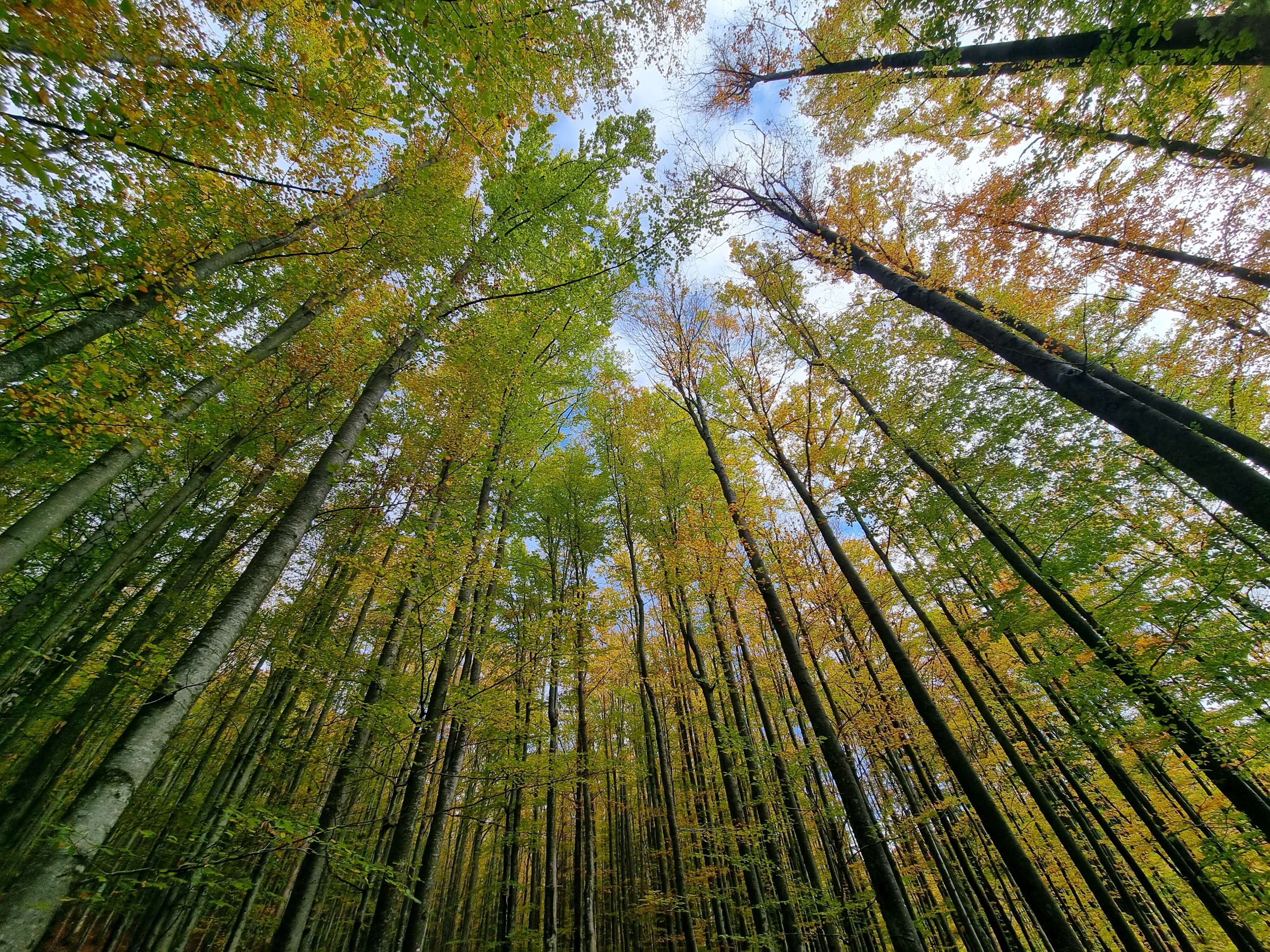 - image: 22