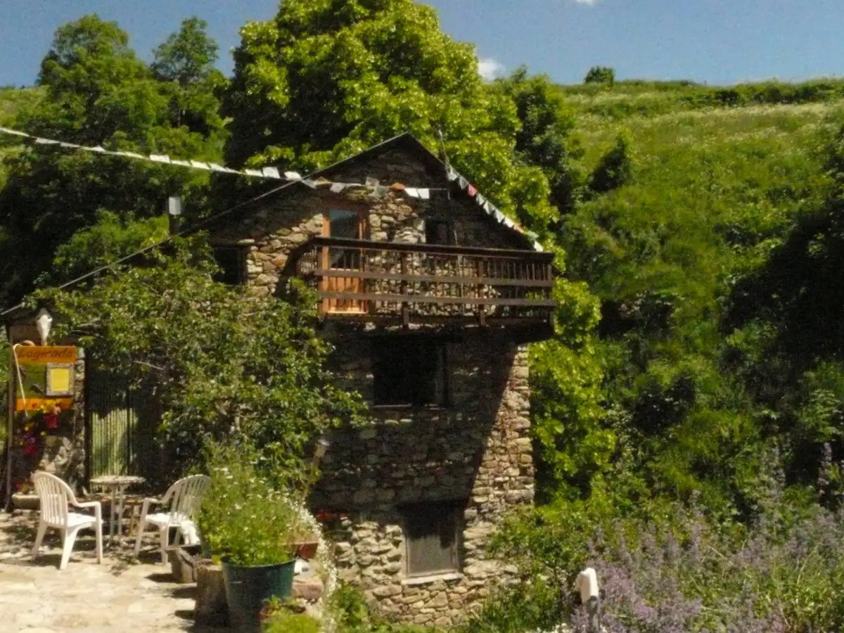 - image: 12