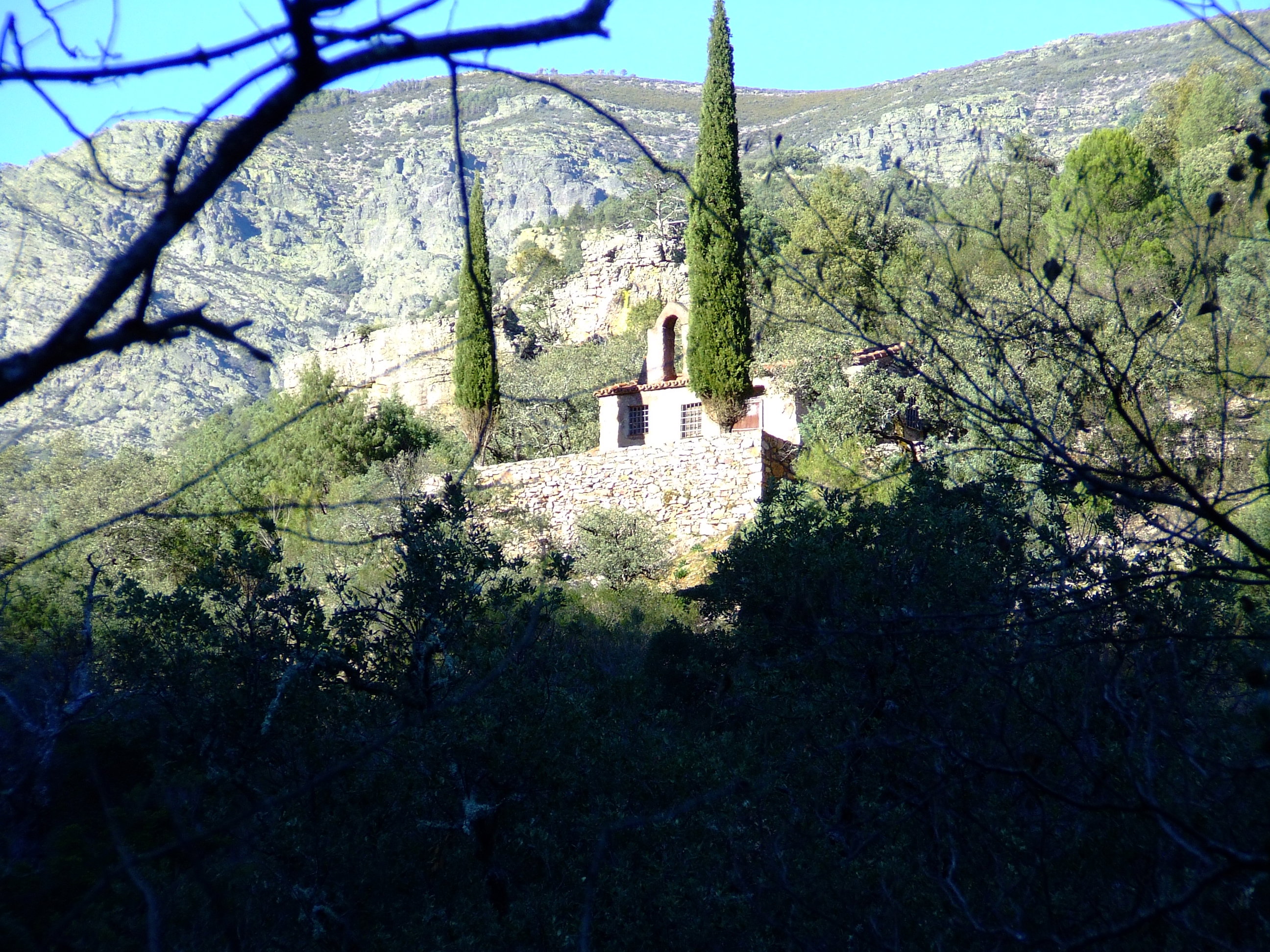 - image: 19