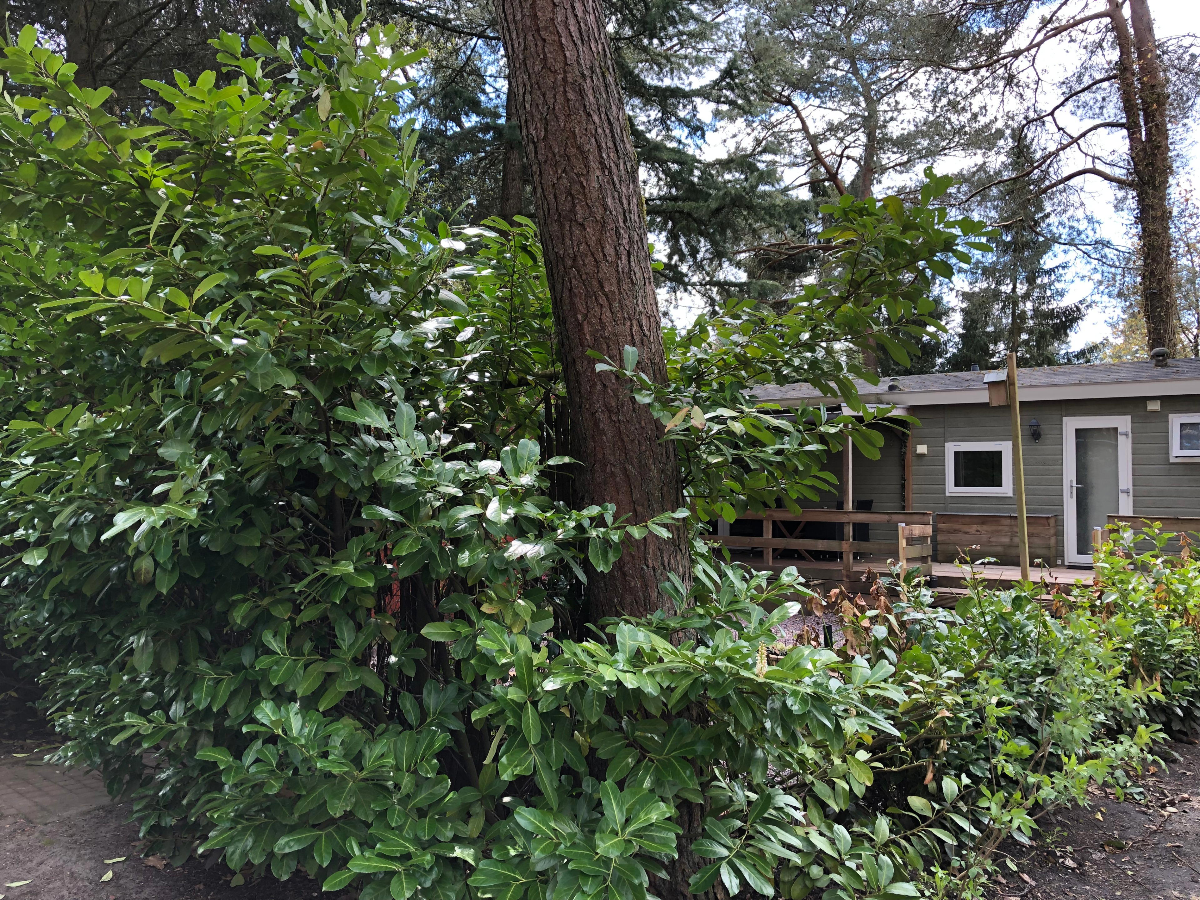 Nature house in Emst
