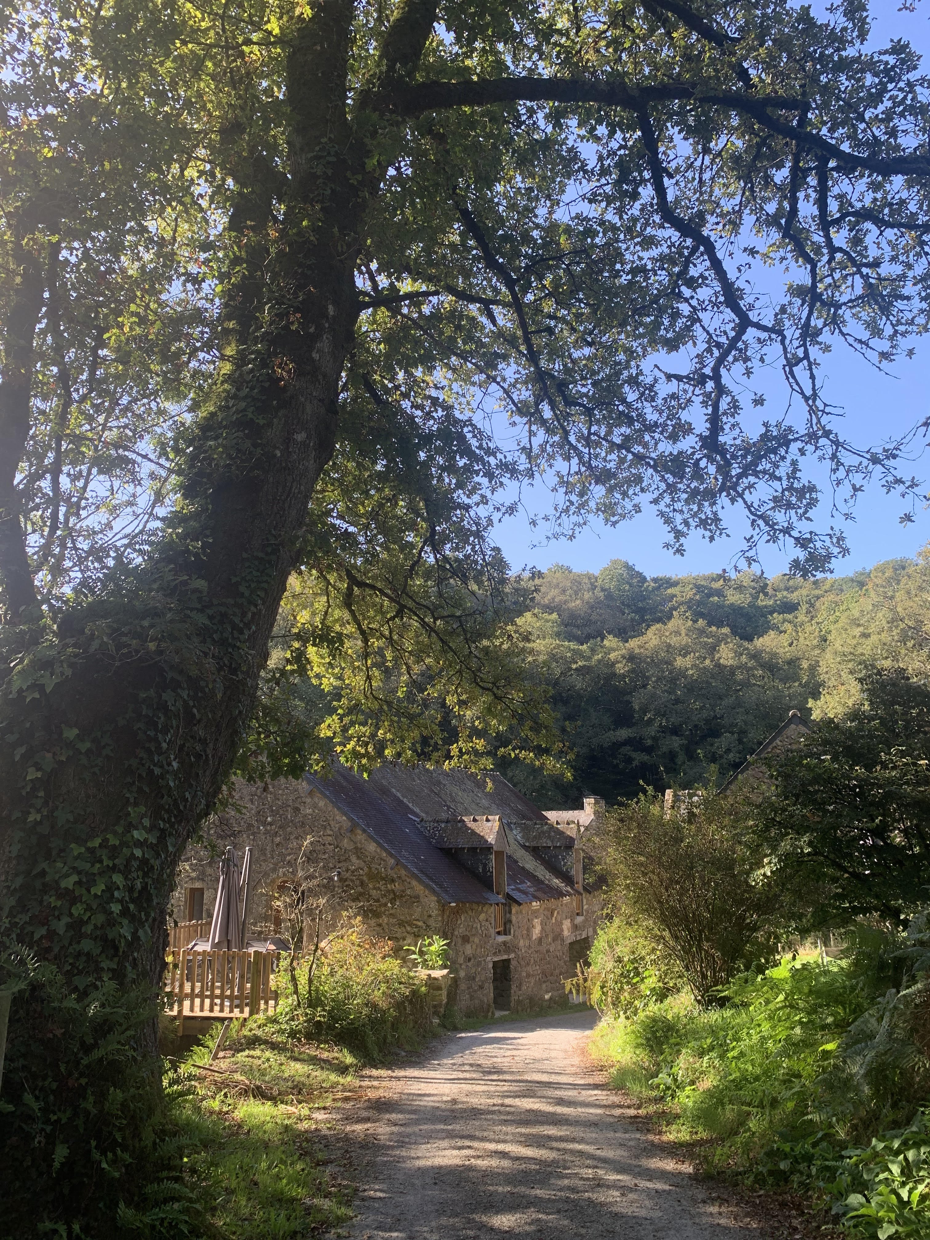 Casa nella natura a Noyal-Muzillac