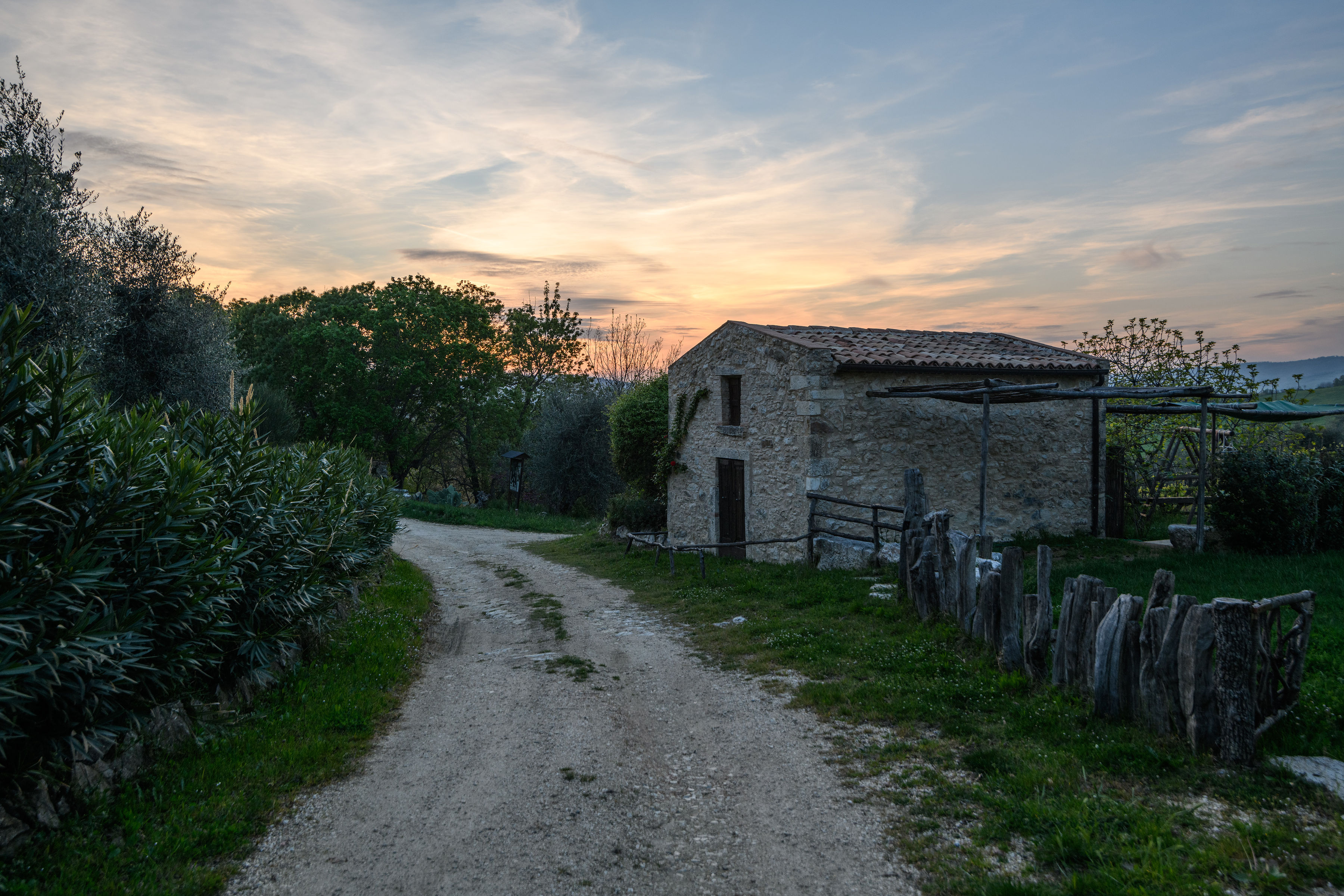 - image: 62