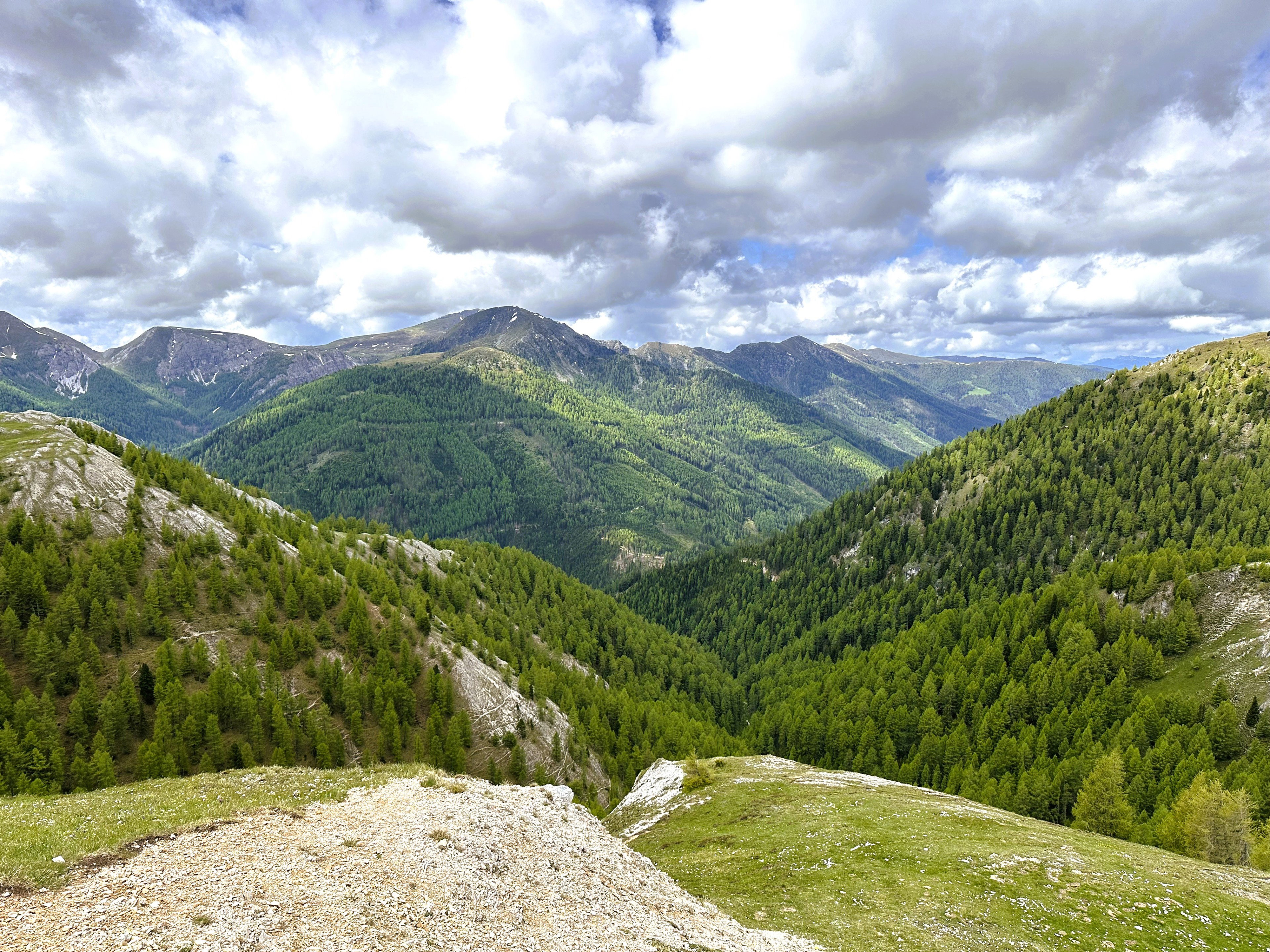 - image: 63