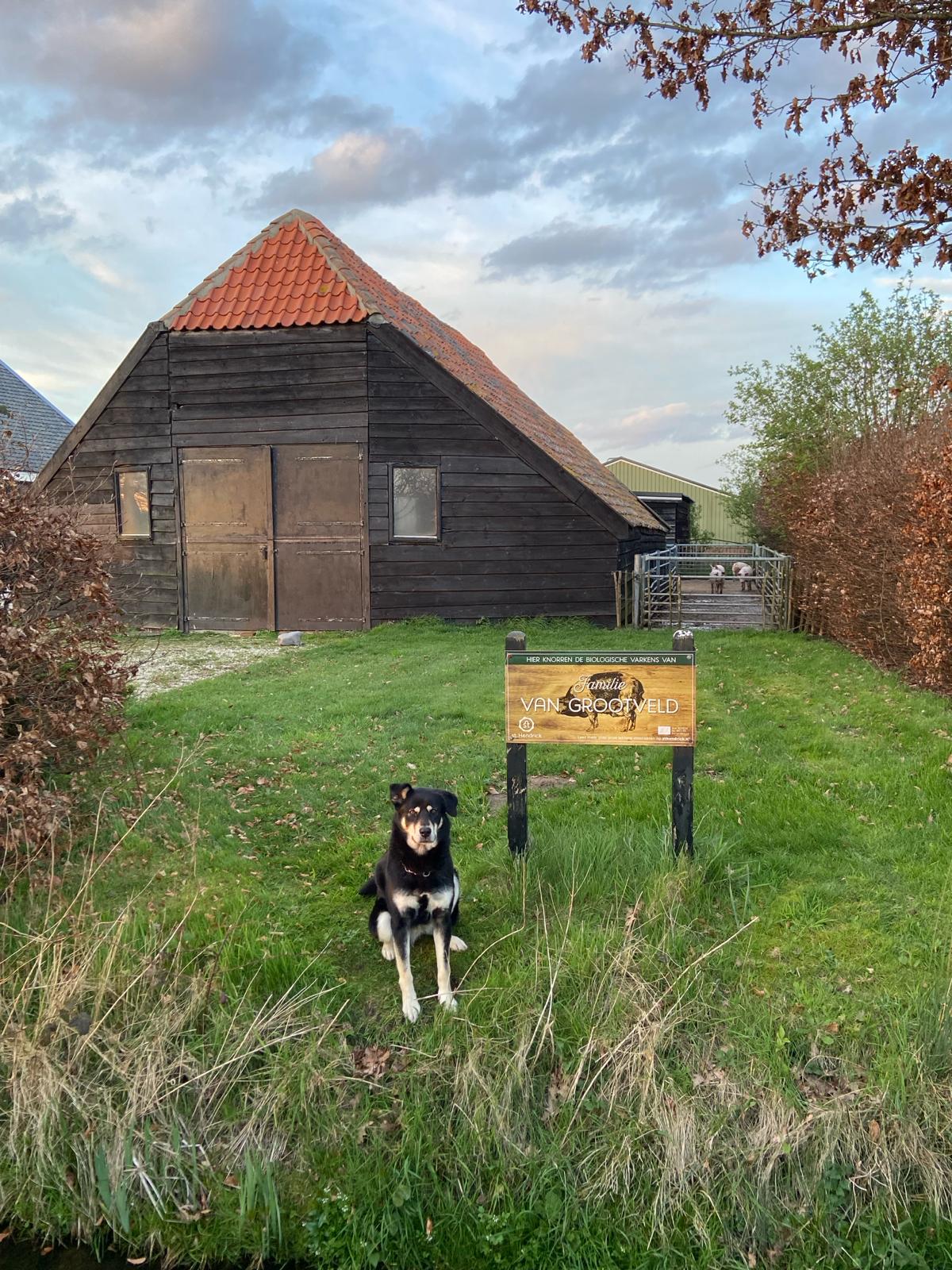 Naturhäuschen in Doorn