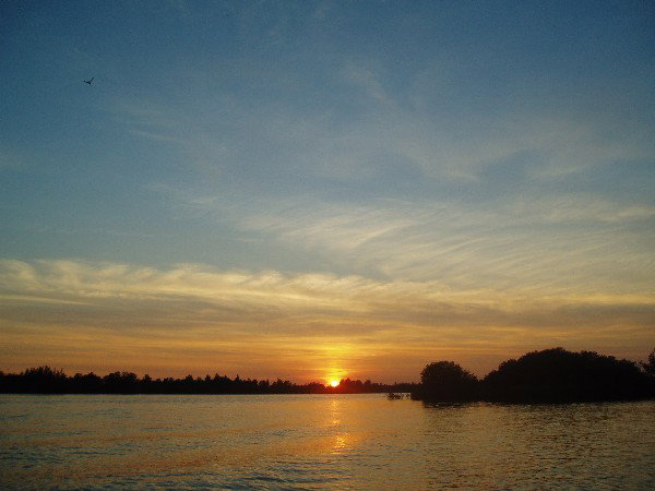 - image: 15
