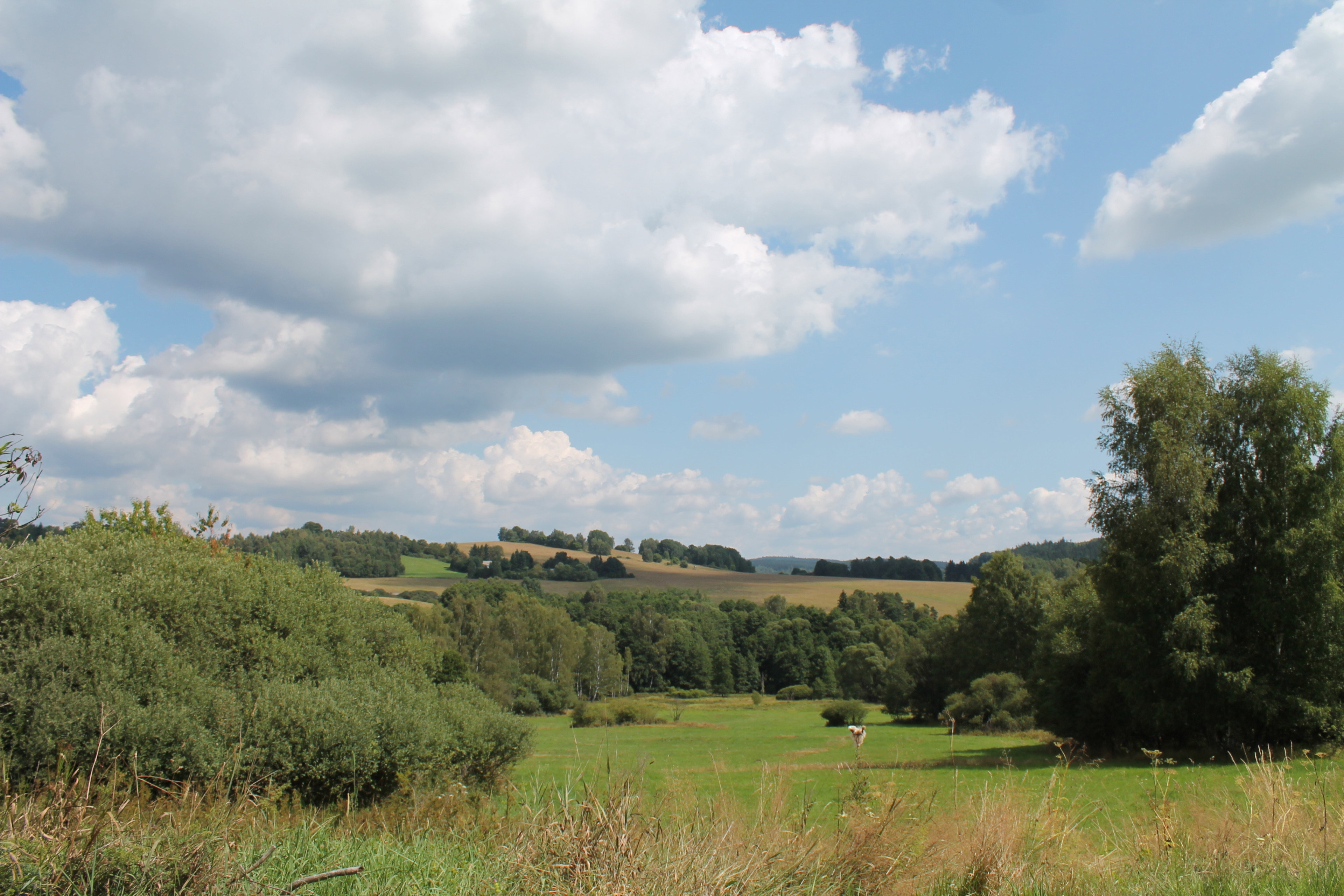 - image: 2