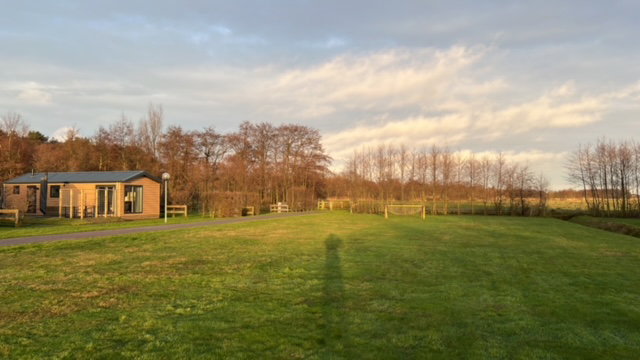 - image: 2