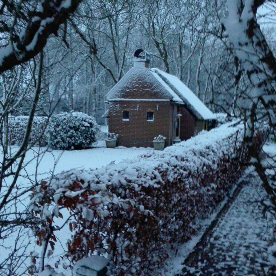 Naturhäuschen in Eesveen