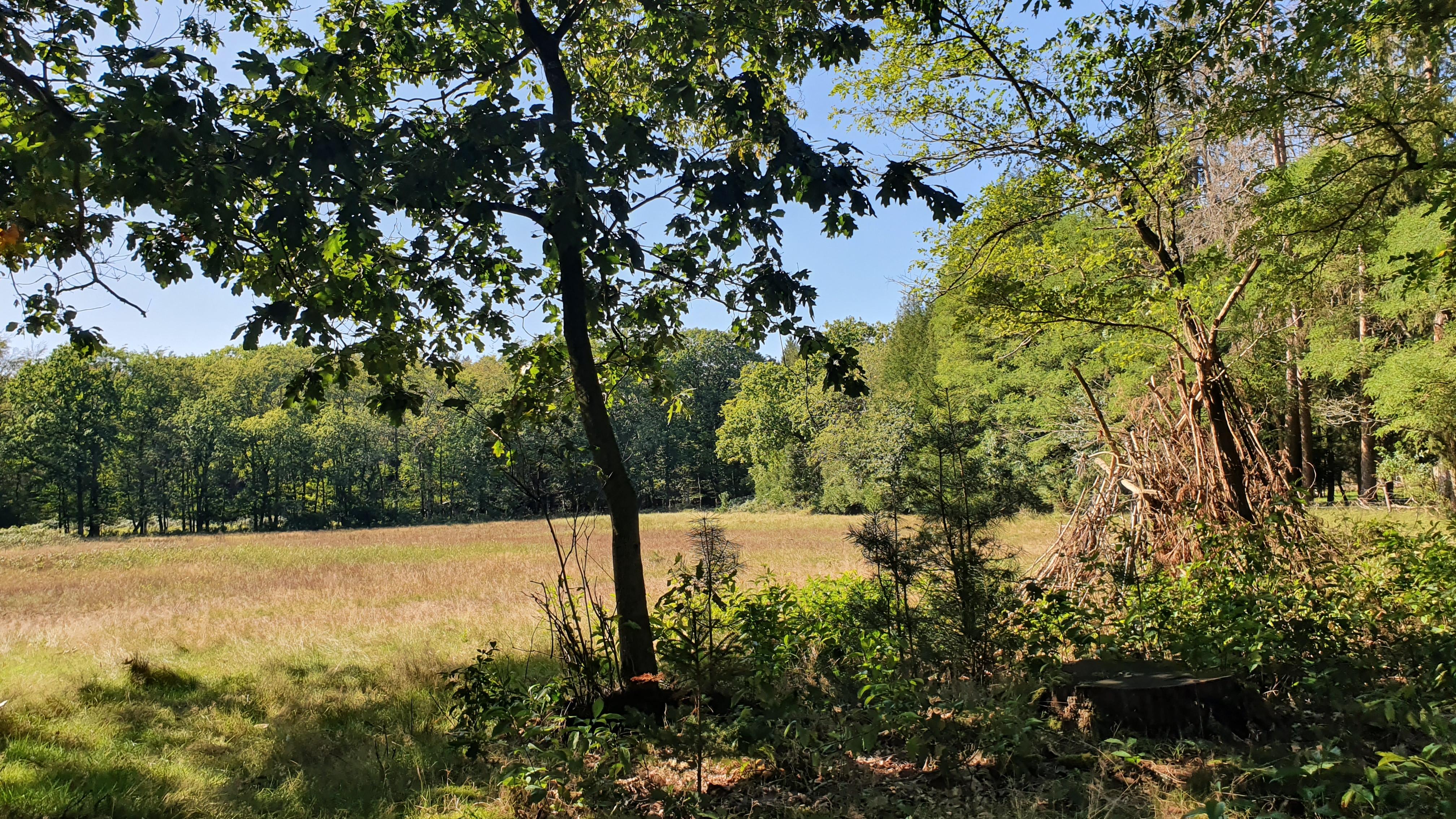 Naturhäuschen in Elspeet