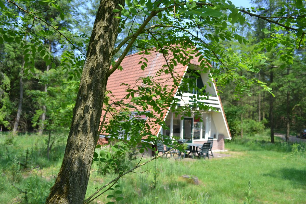 Naturhäuschen in Elspeet