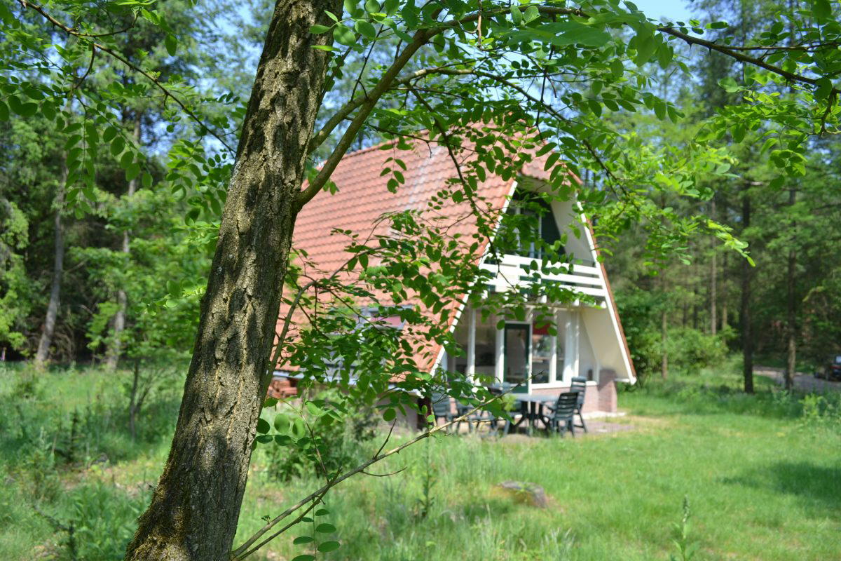 Nature house in Elspeet