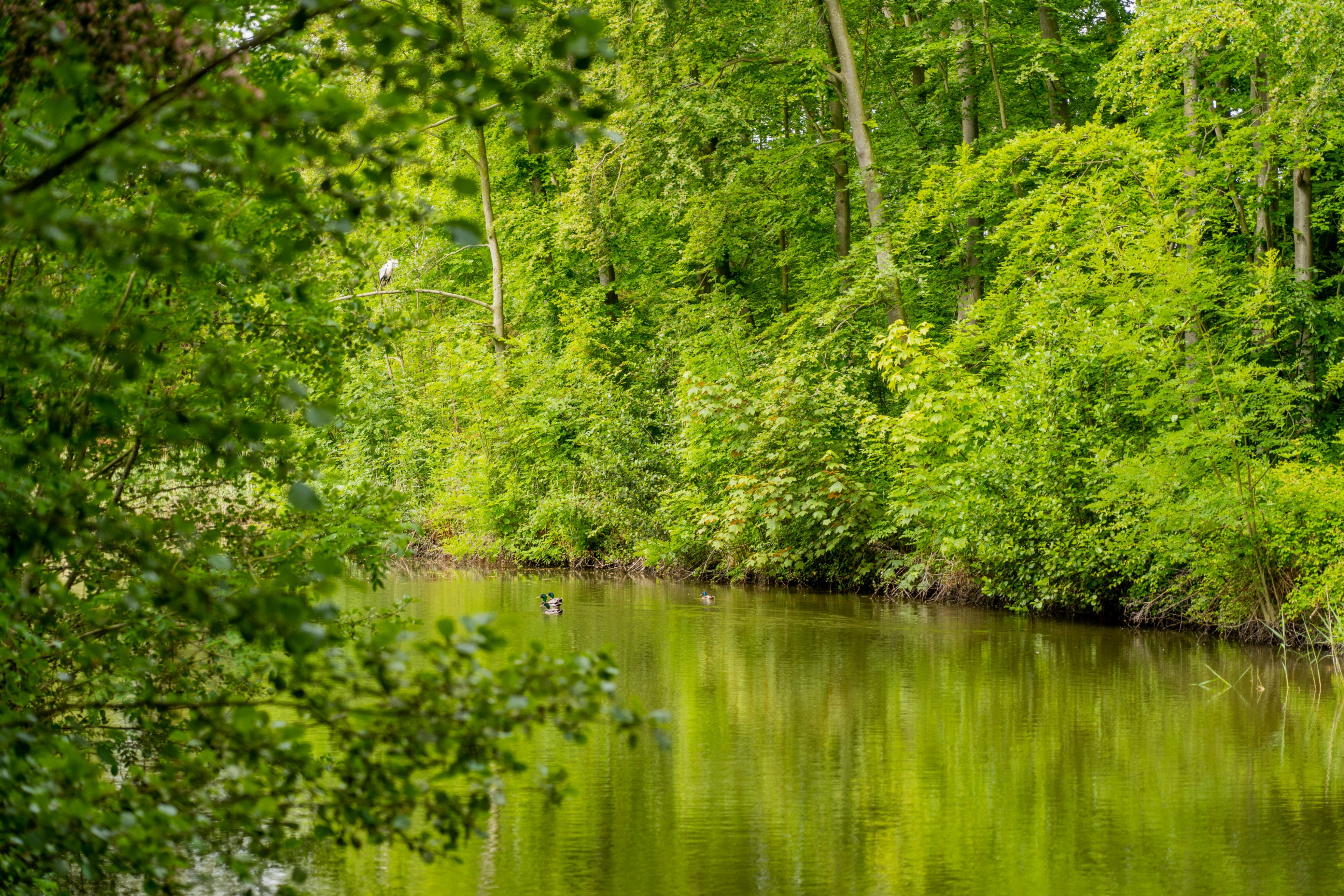 Naturhäuschen in Oostkapelle