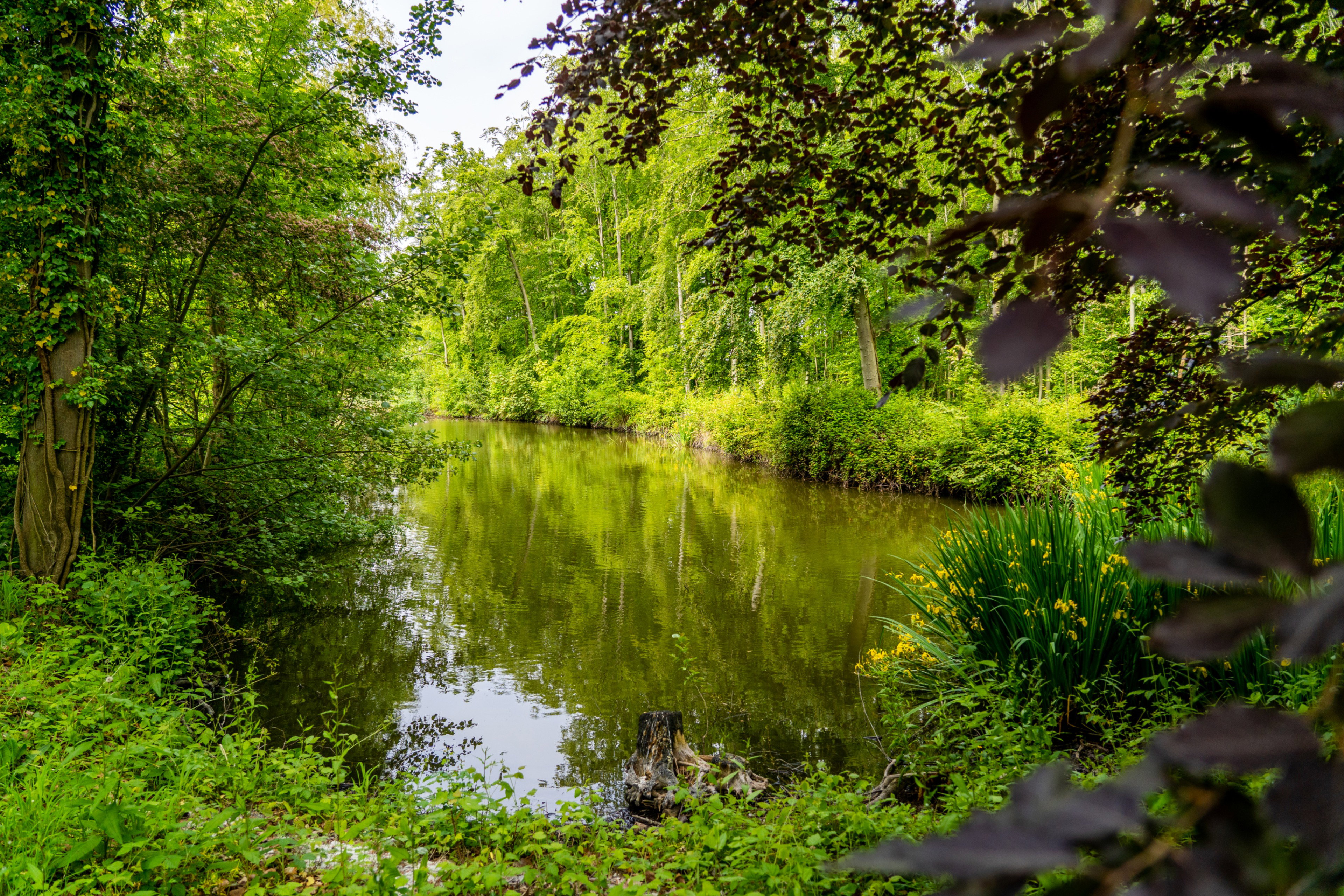 Naturhäuschen in Oostkapelle