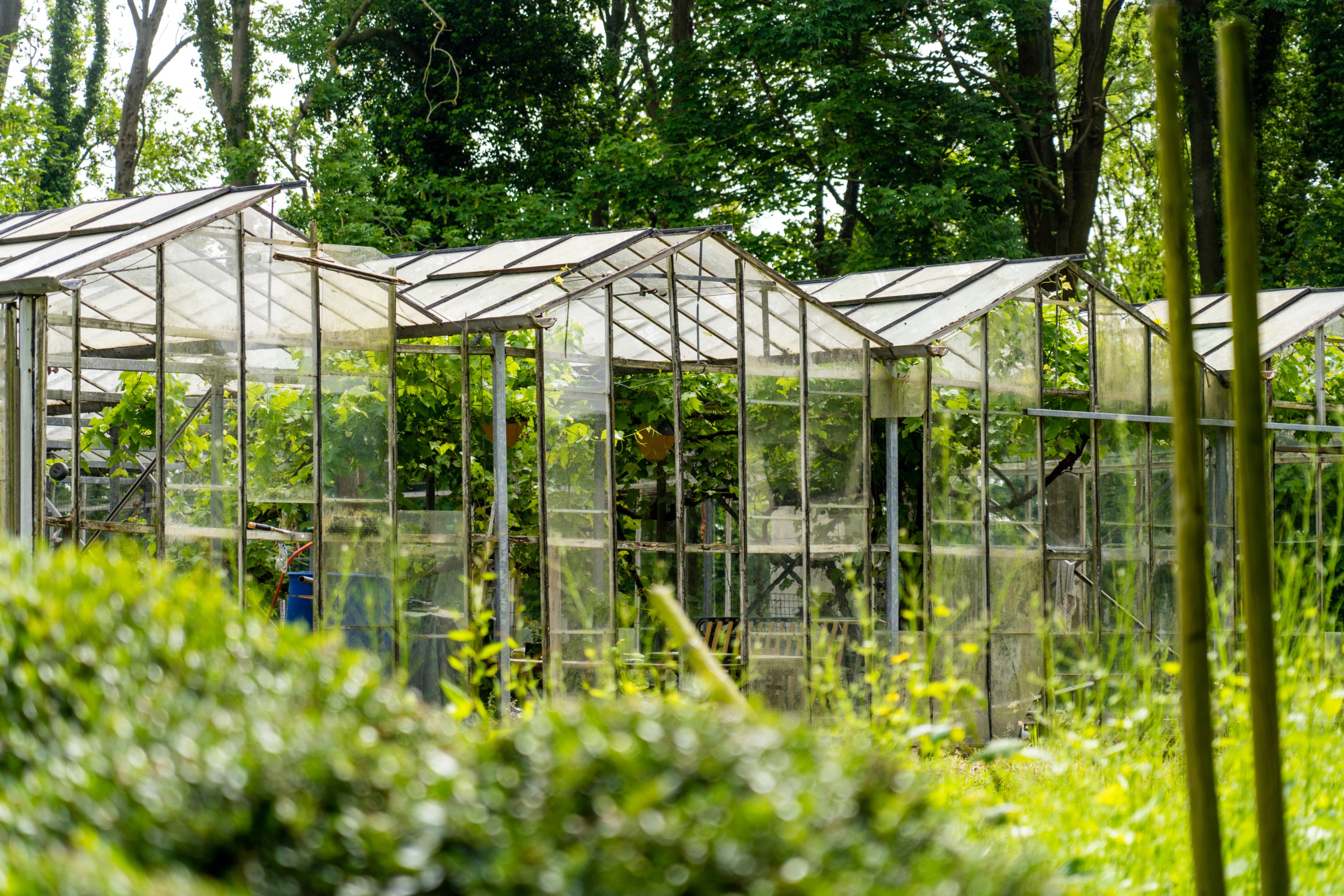 Nature house in Oostkapelle