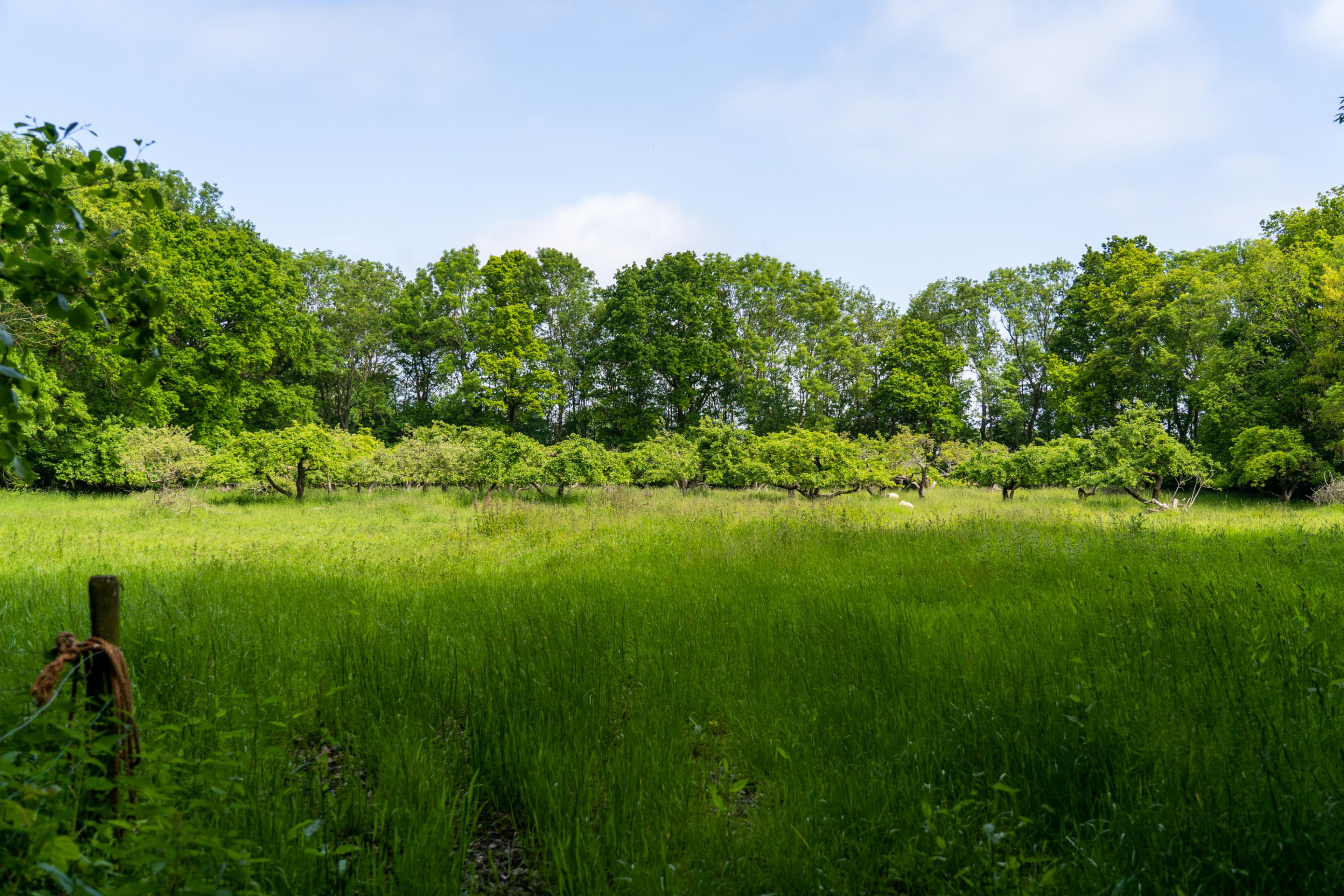 Naturhäuschen in Oostkapelle