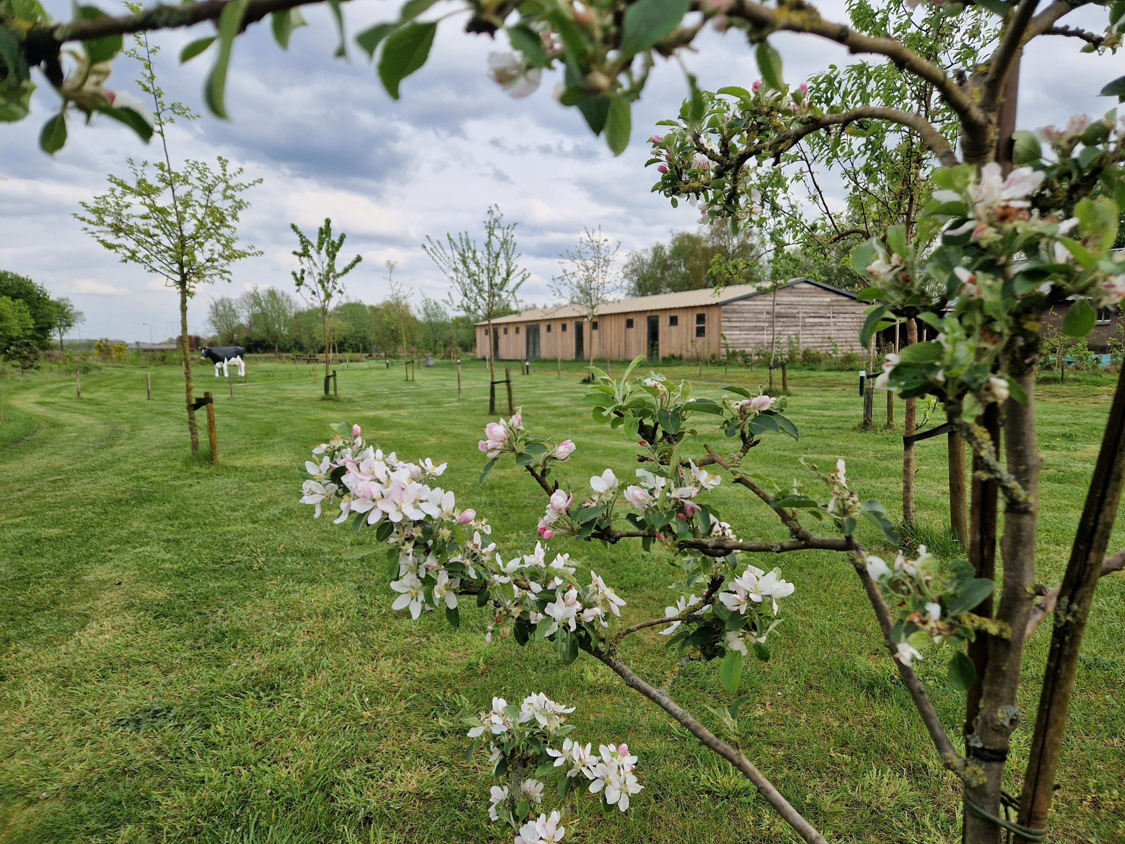 Natuurhuisje in Moergestel