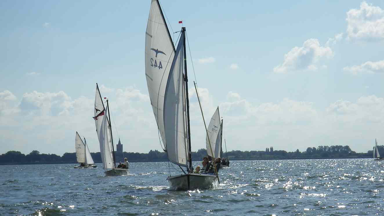 - image: 13