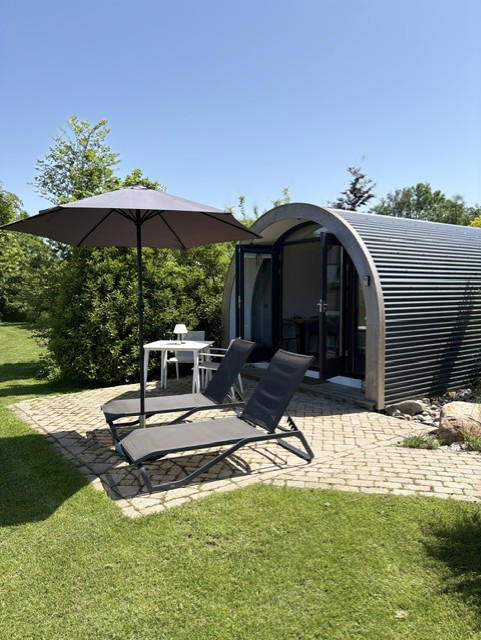 Nature house in Dalerveen