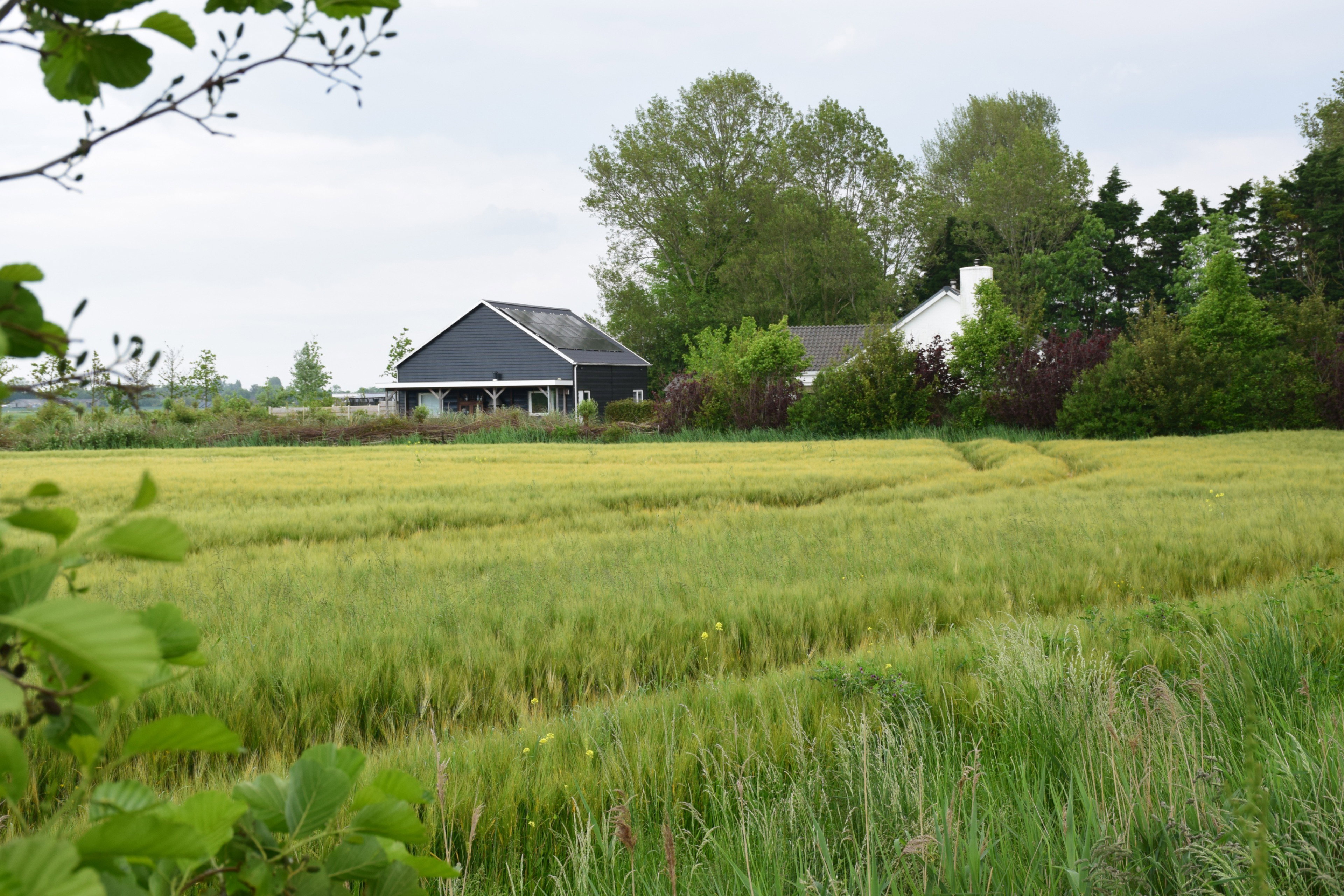 Natuurhuisje in Koudekerke