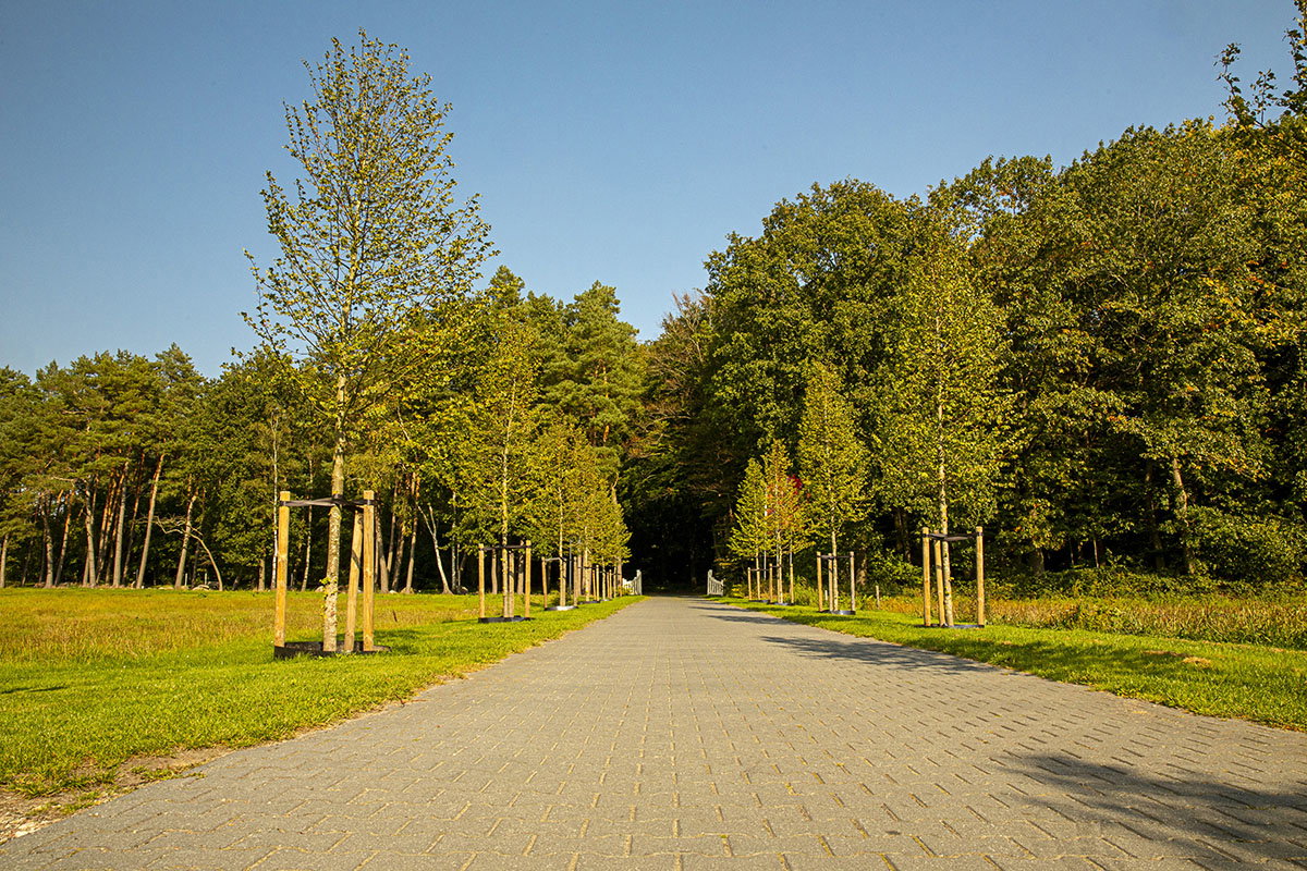 - image: 29