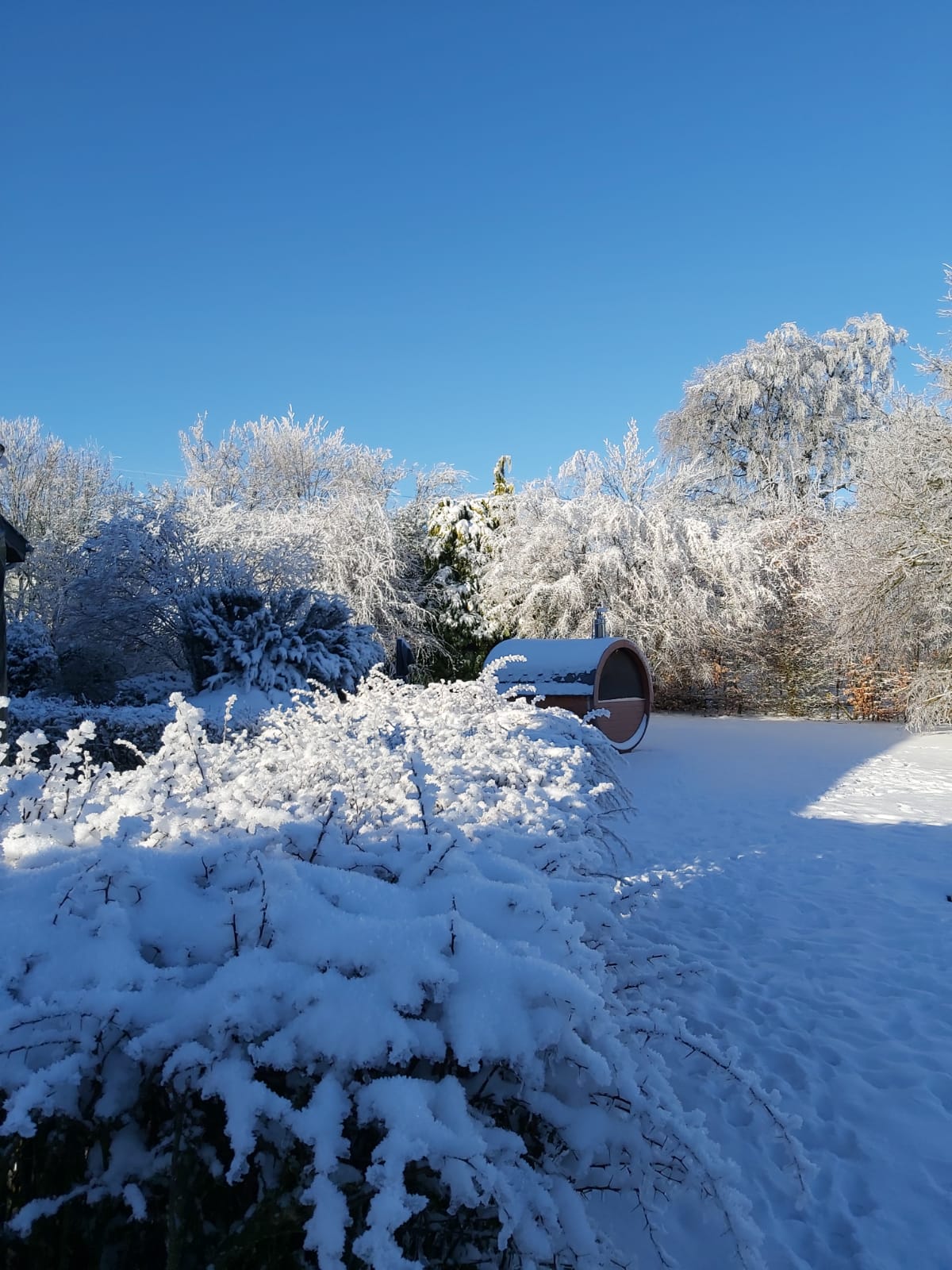 - image: 31