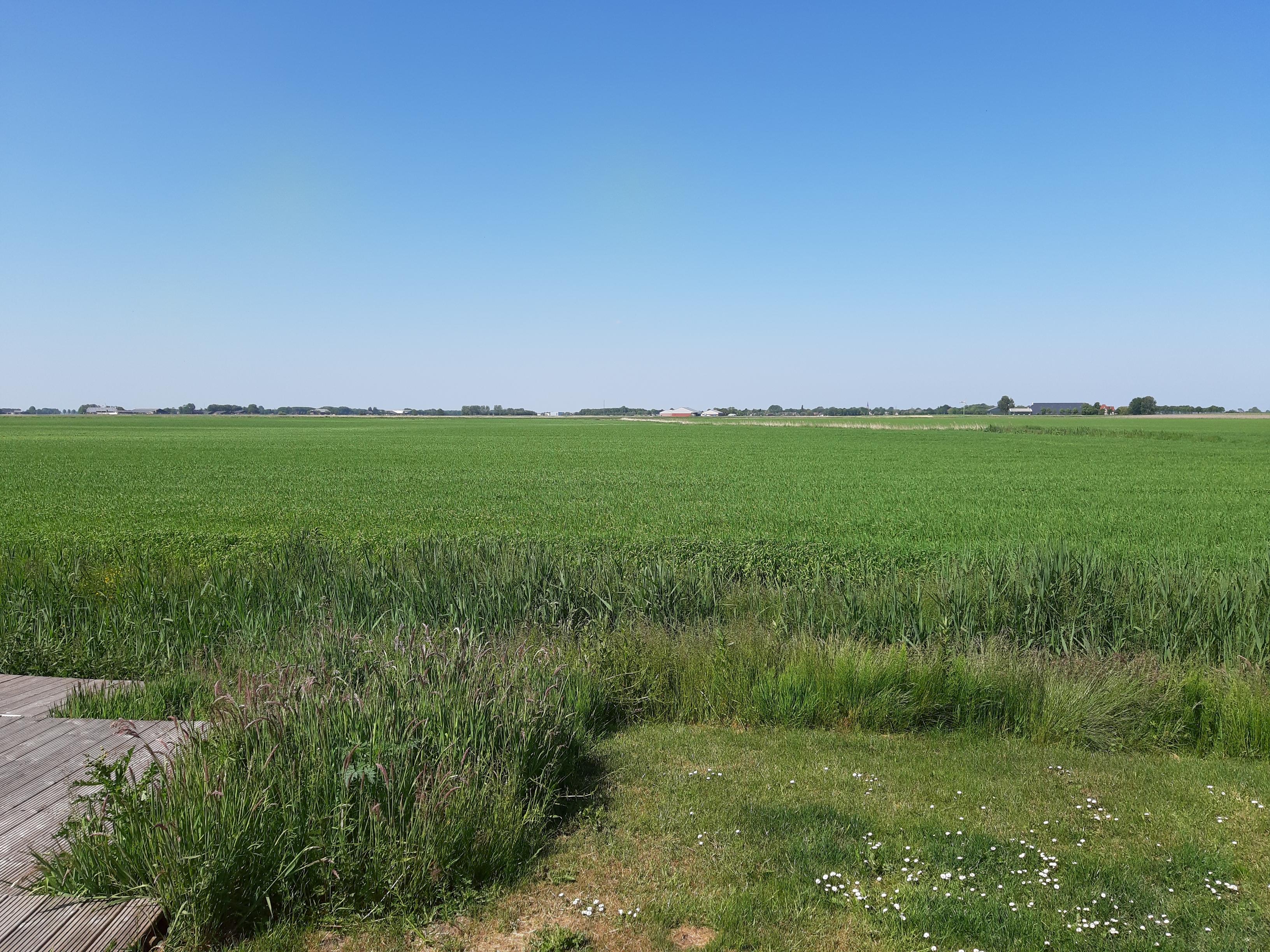 Natuurhuisje in Leens