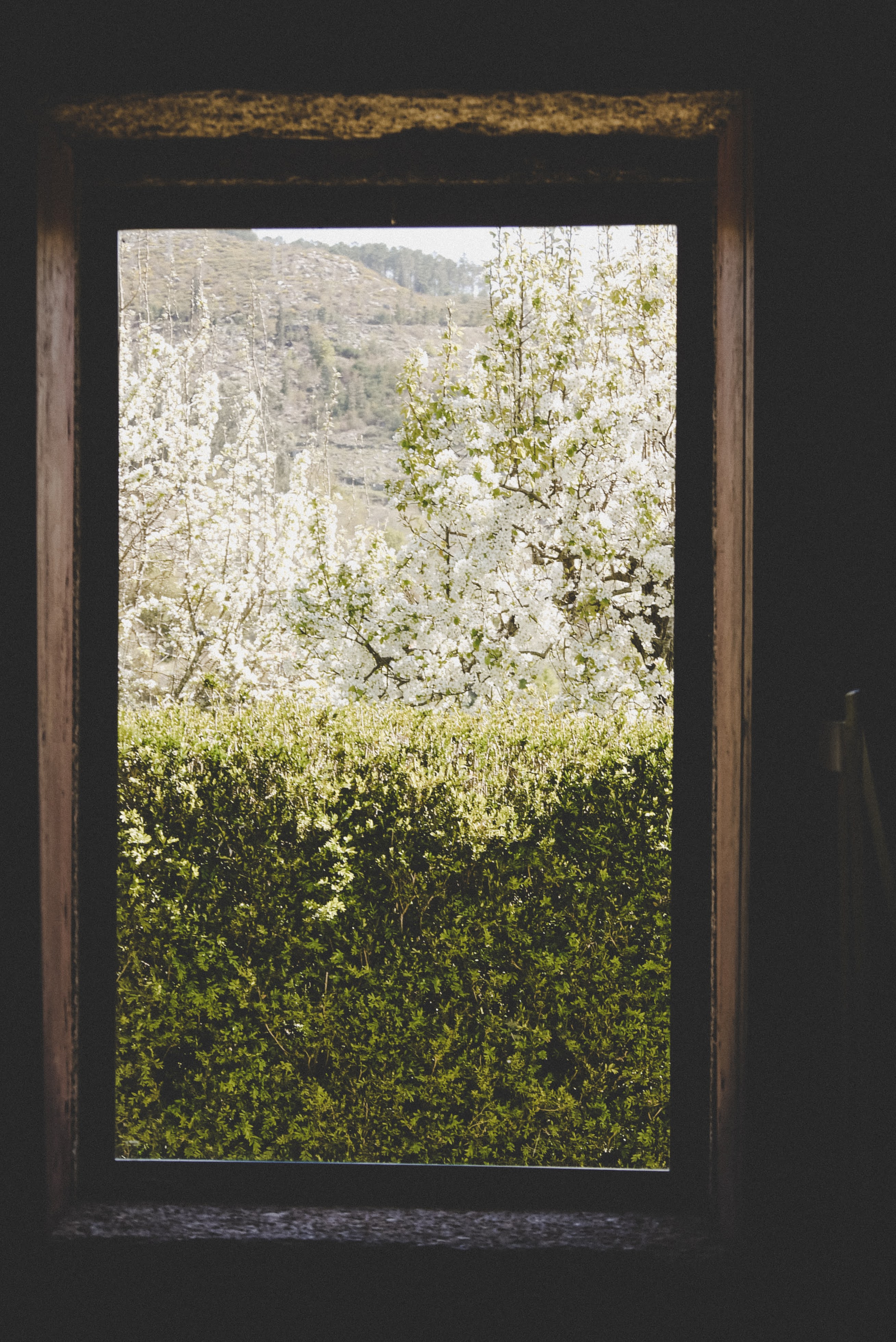 - image: 28
