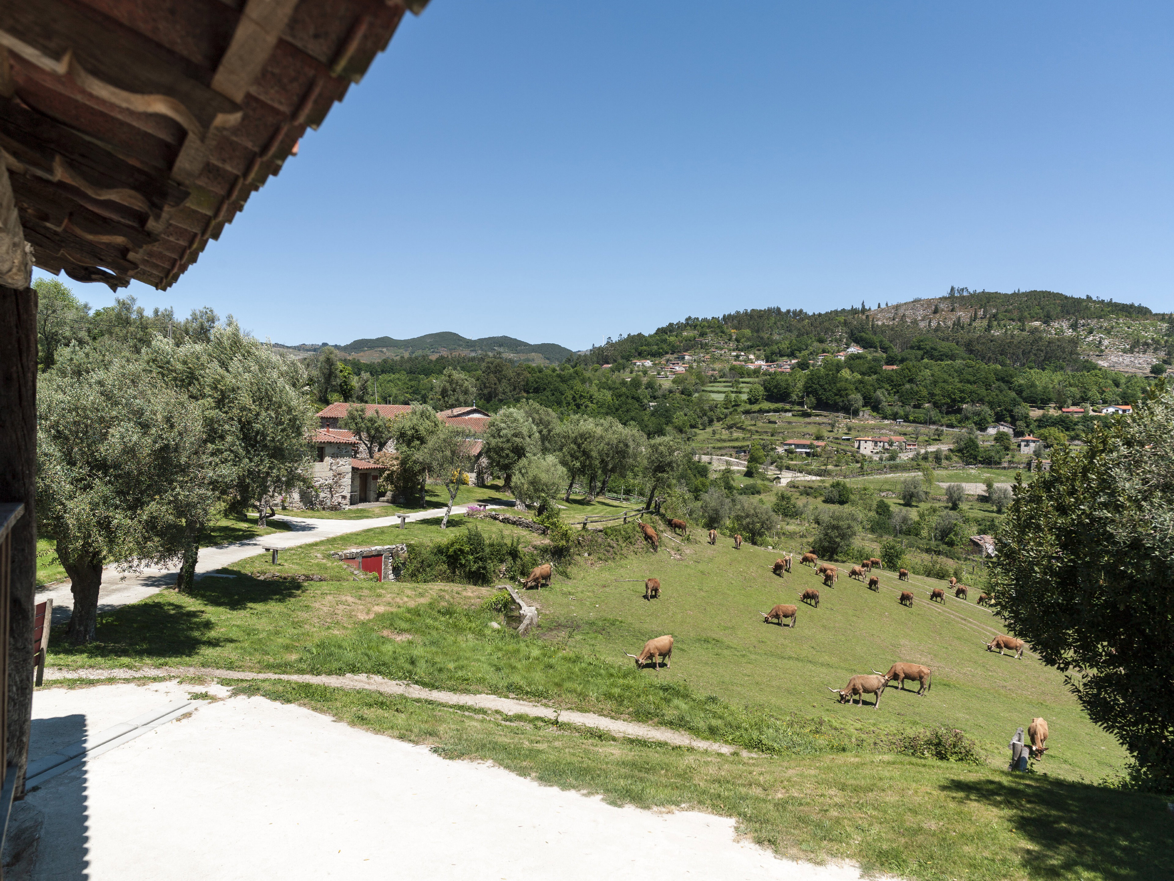 Natuurhuisje in Cabeceiras de Basto