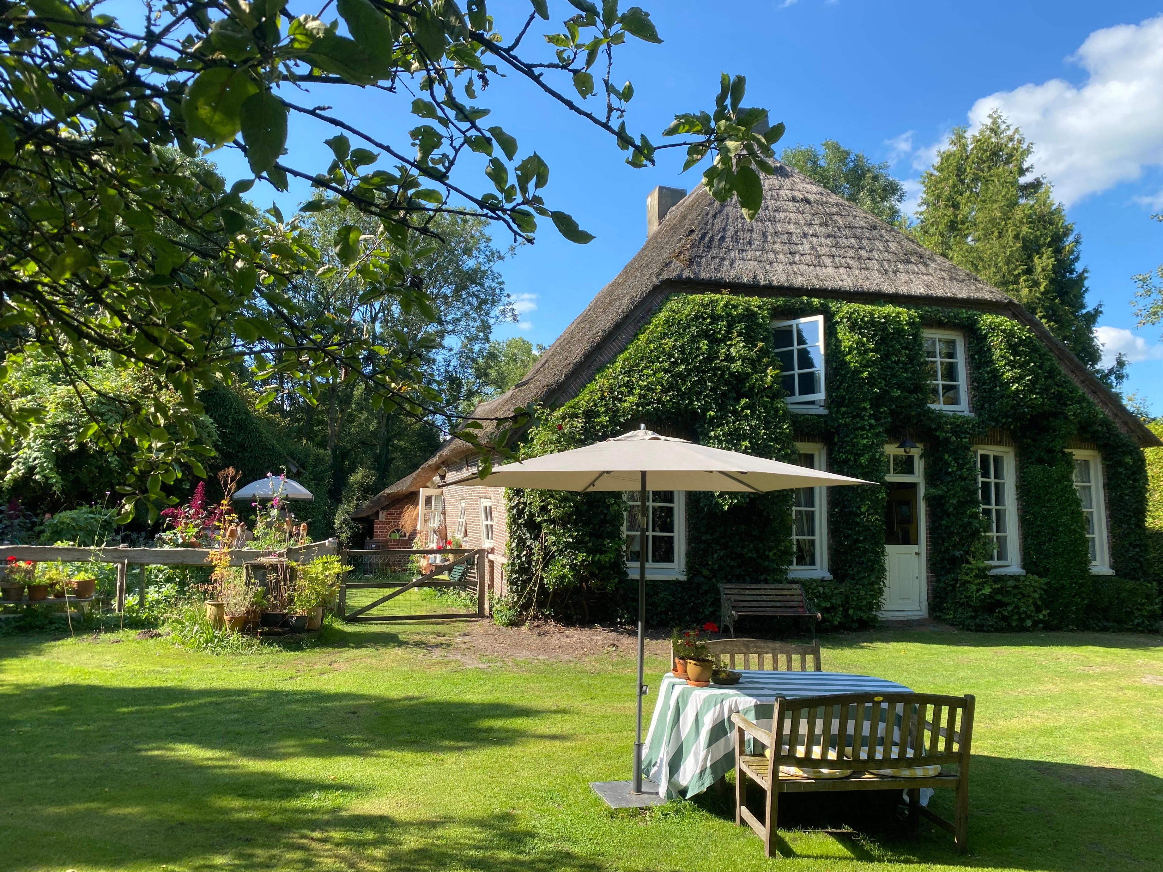 Nature house in Ruinerwold
