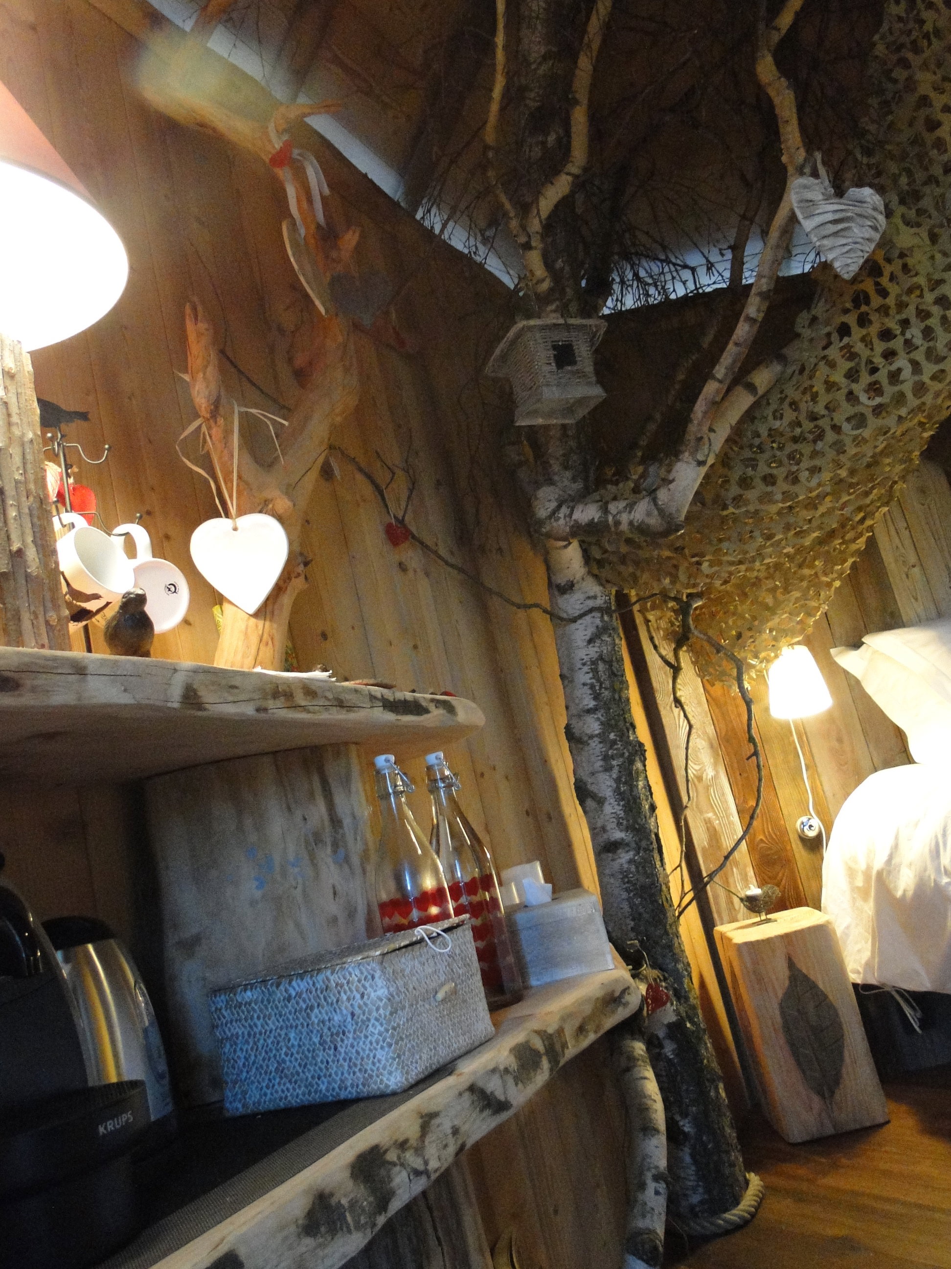 Nature house in Thannenkirch