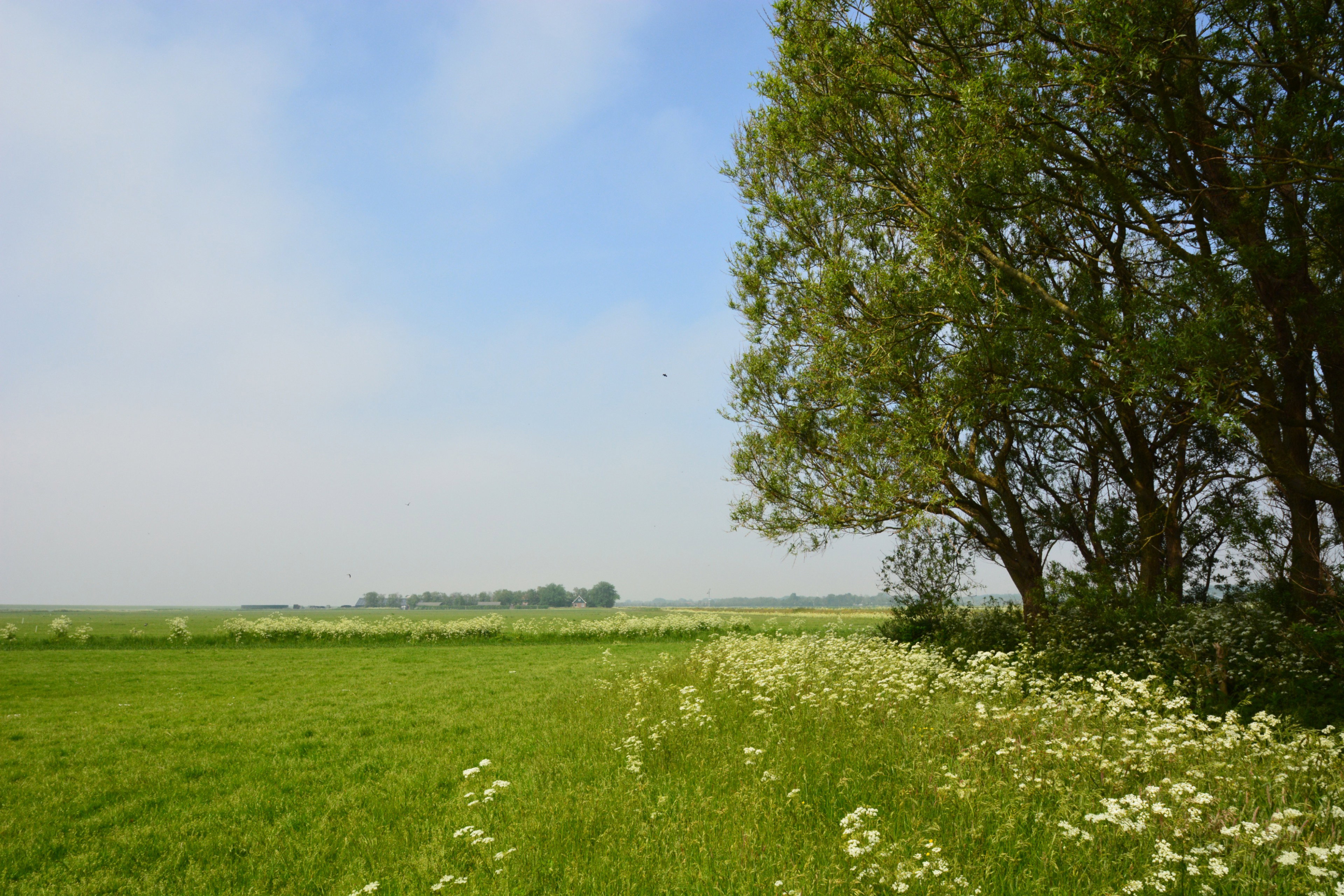 Naturhäuschen in Schiermonnikoog