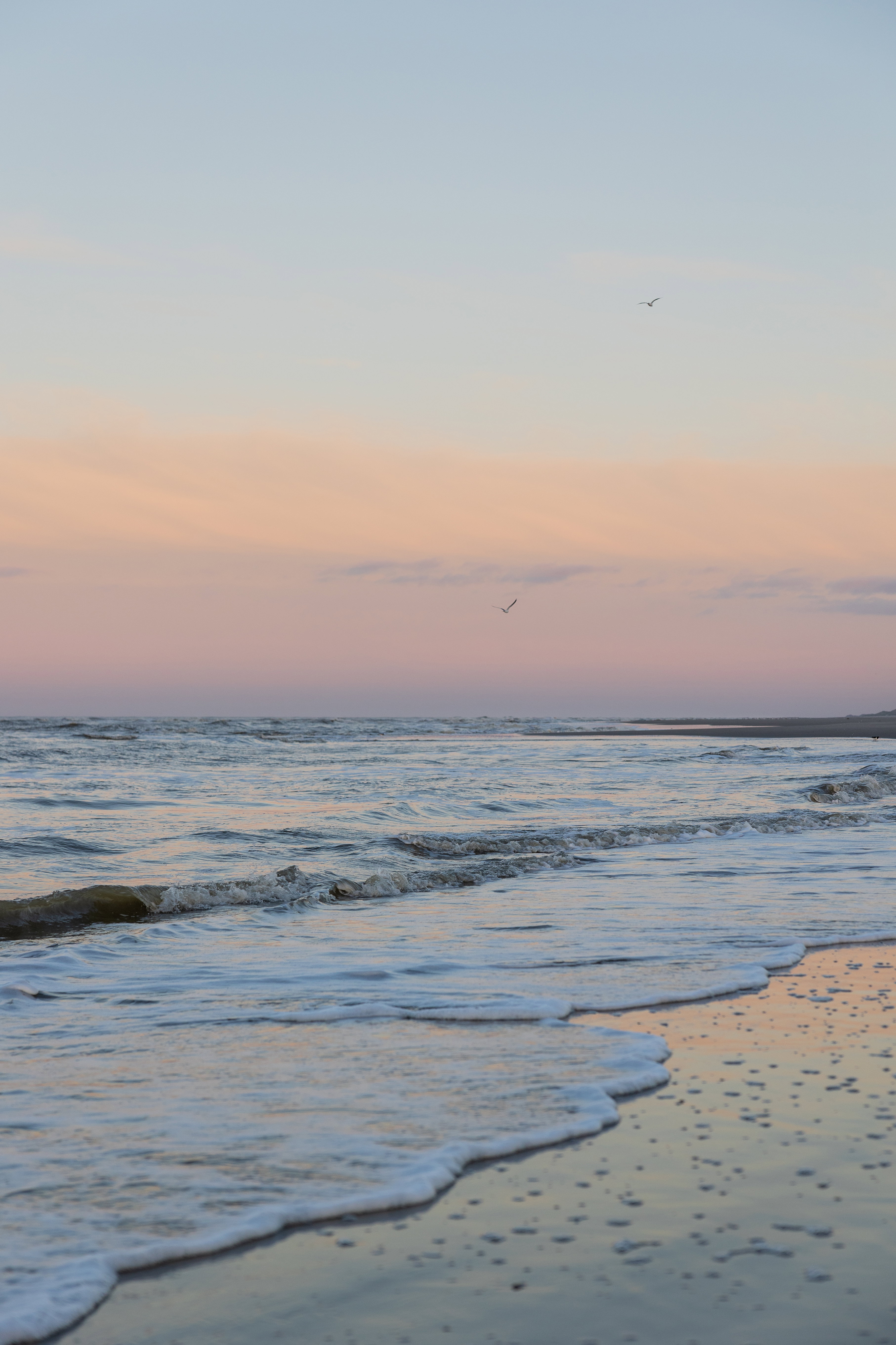 Naturhäuschen in Schiermonnikoog