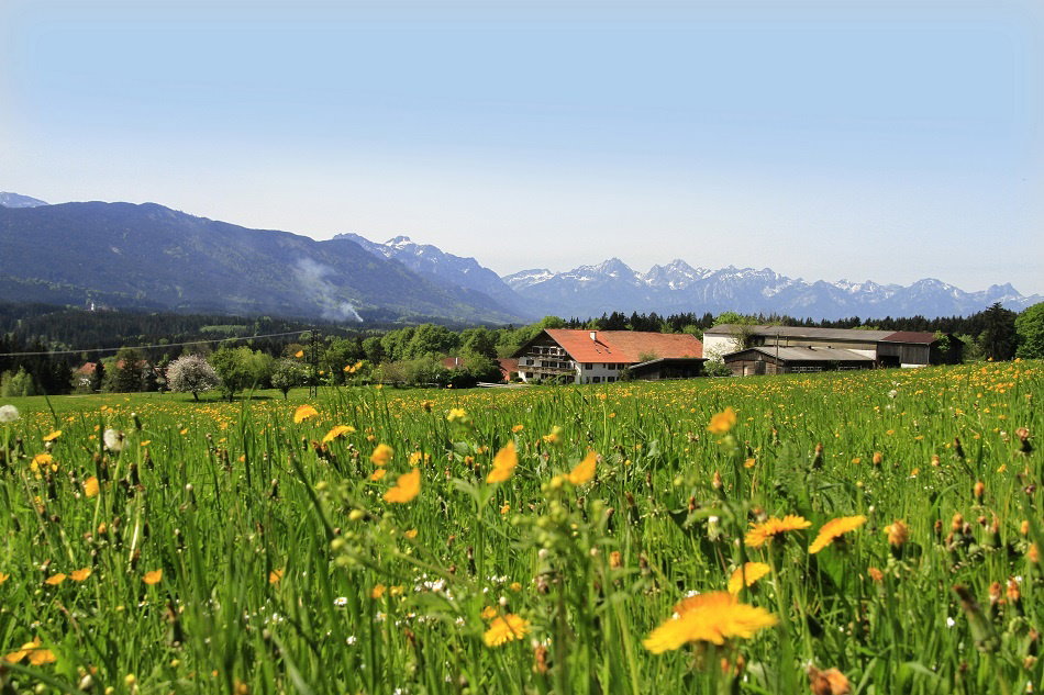 Casa nella natura a Wildsteig