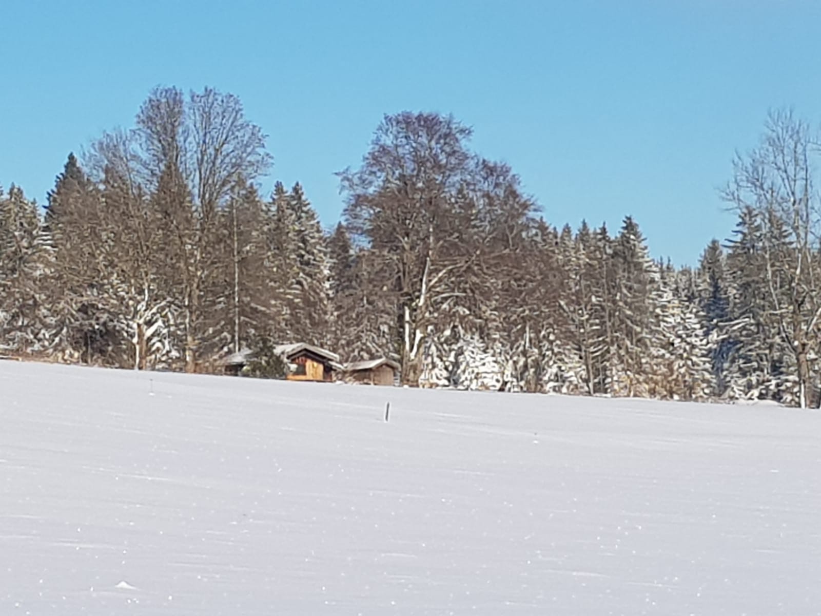 Casa nella natura a Wildsteig