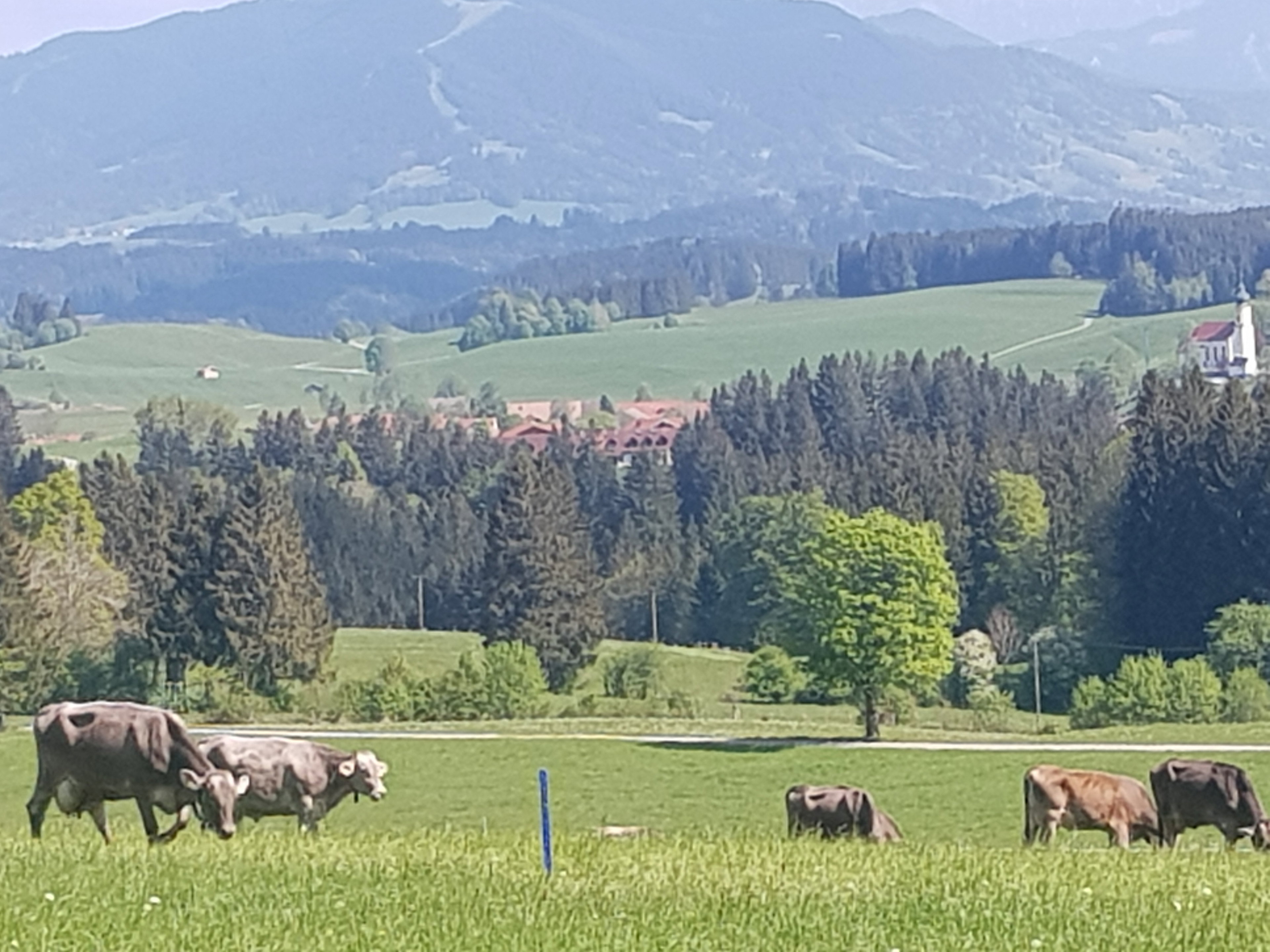 Casa nella natura a Wildsteig