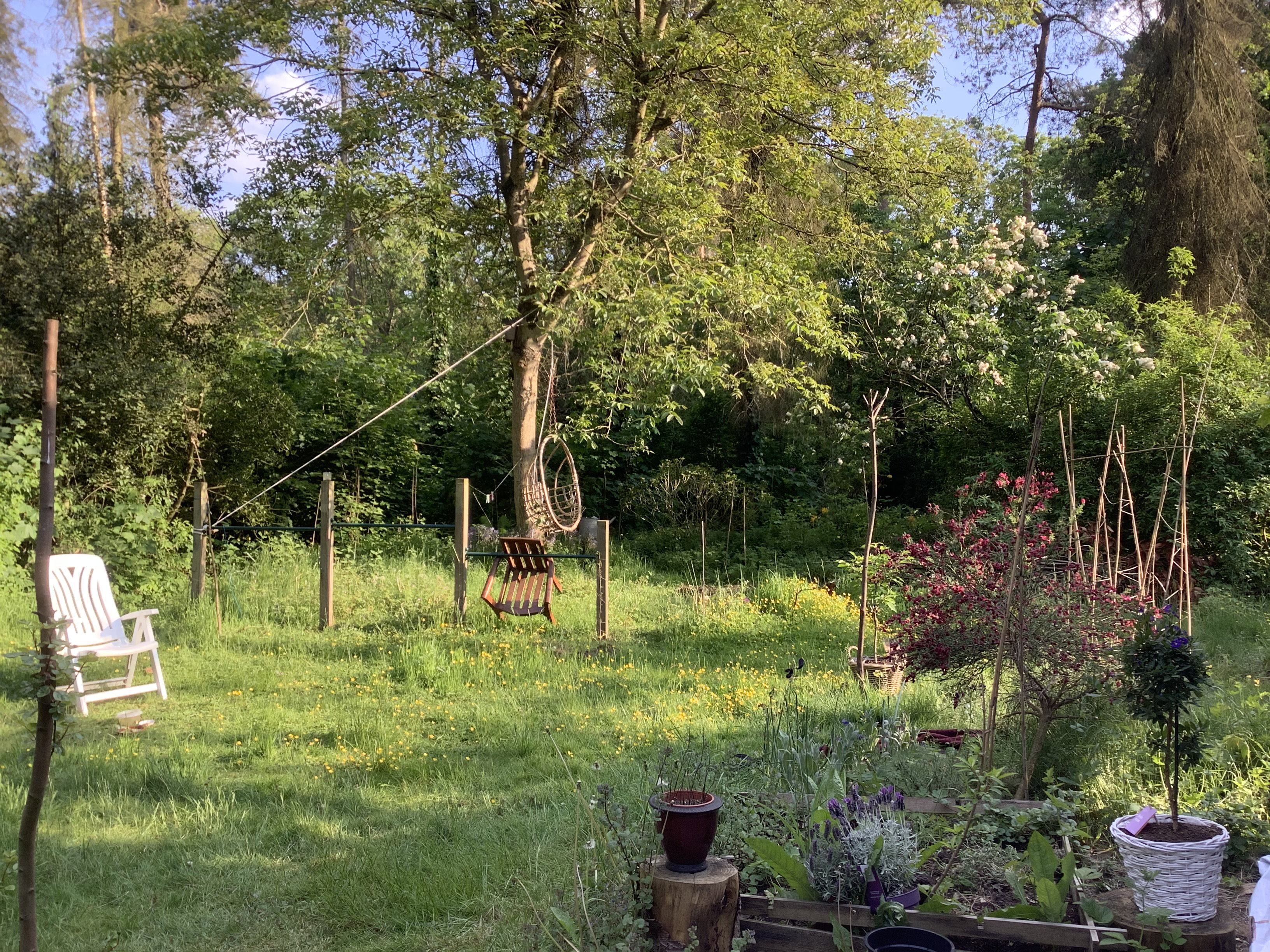 Casa nella natura a Essen