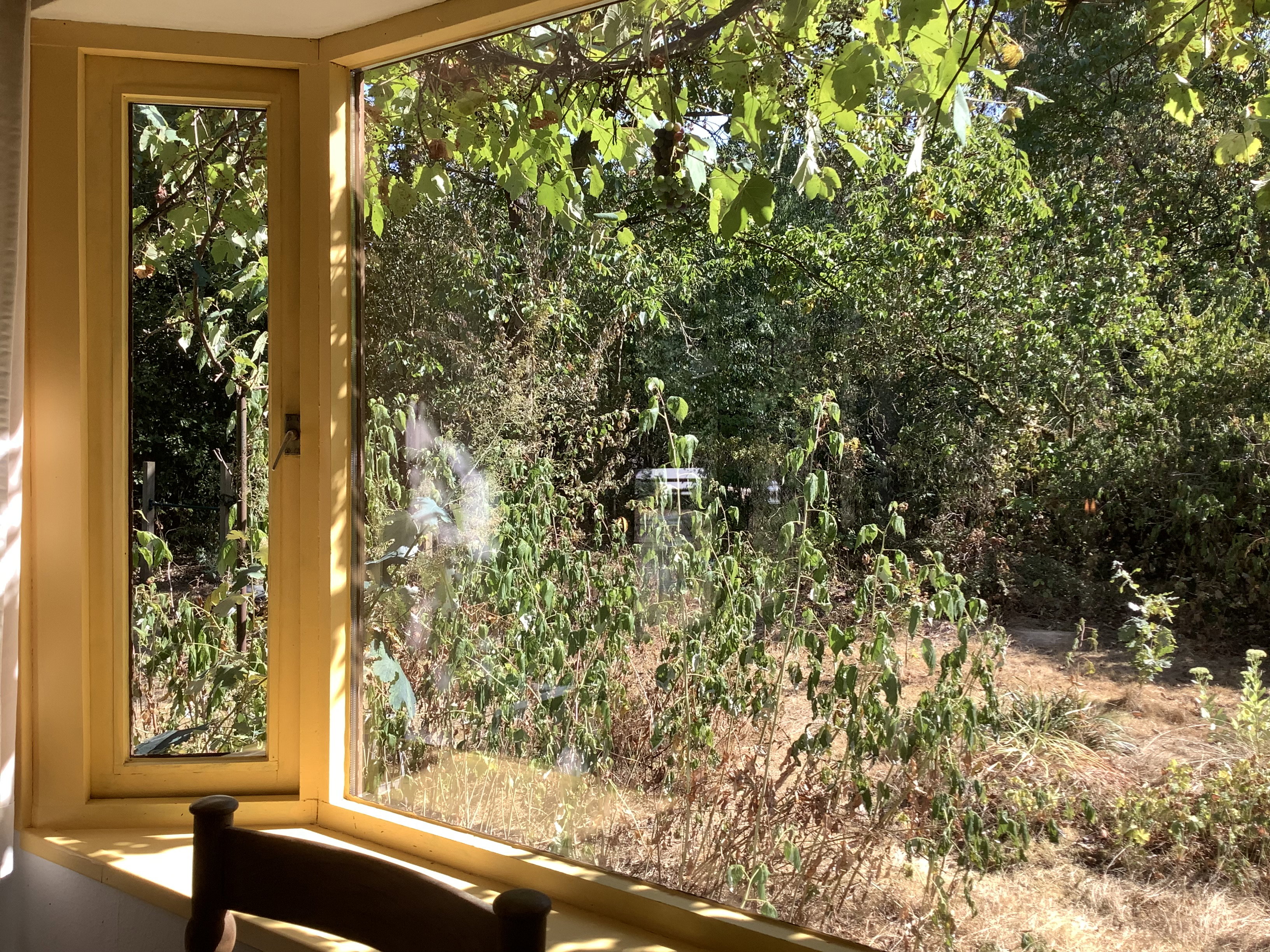 Casa nella natura a Essen
