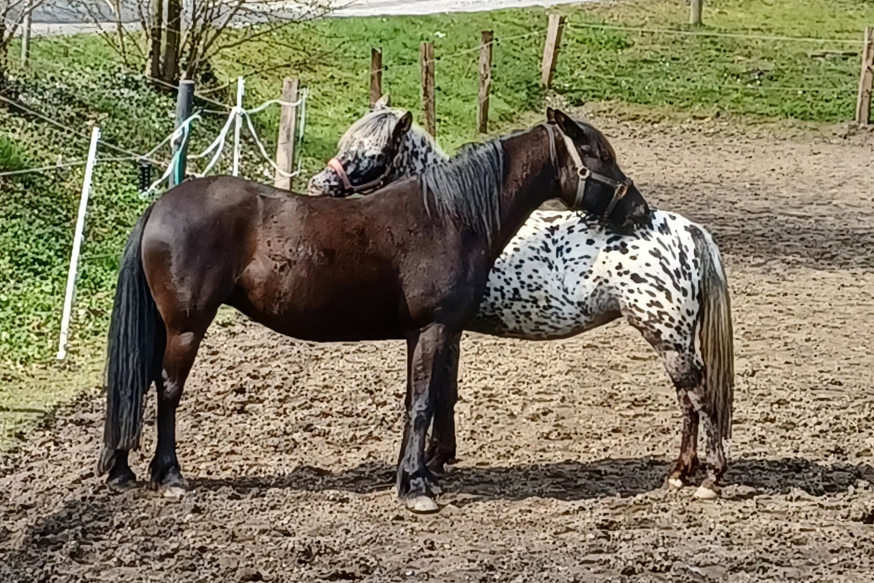 Natuurhuisje in Warmsen