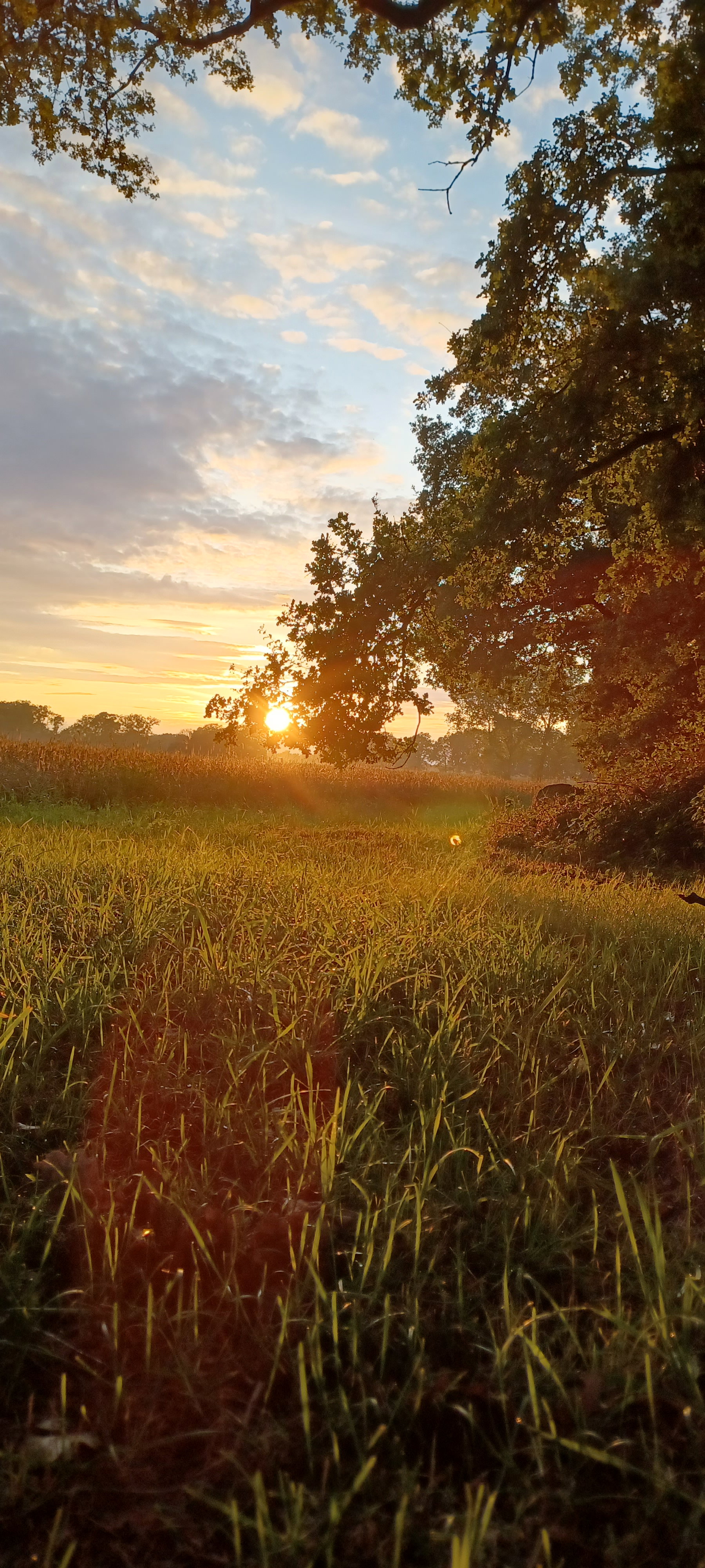 Natuurhuisje in Warmsen