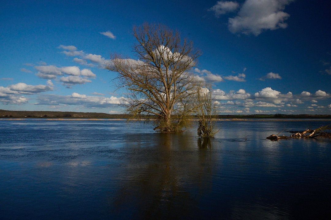 - image: 11