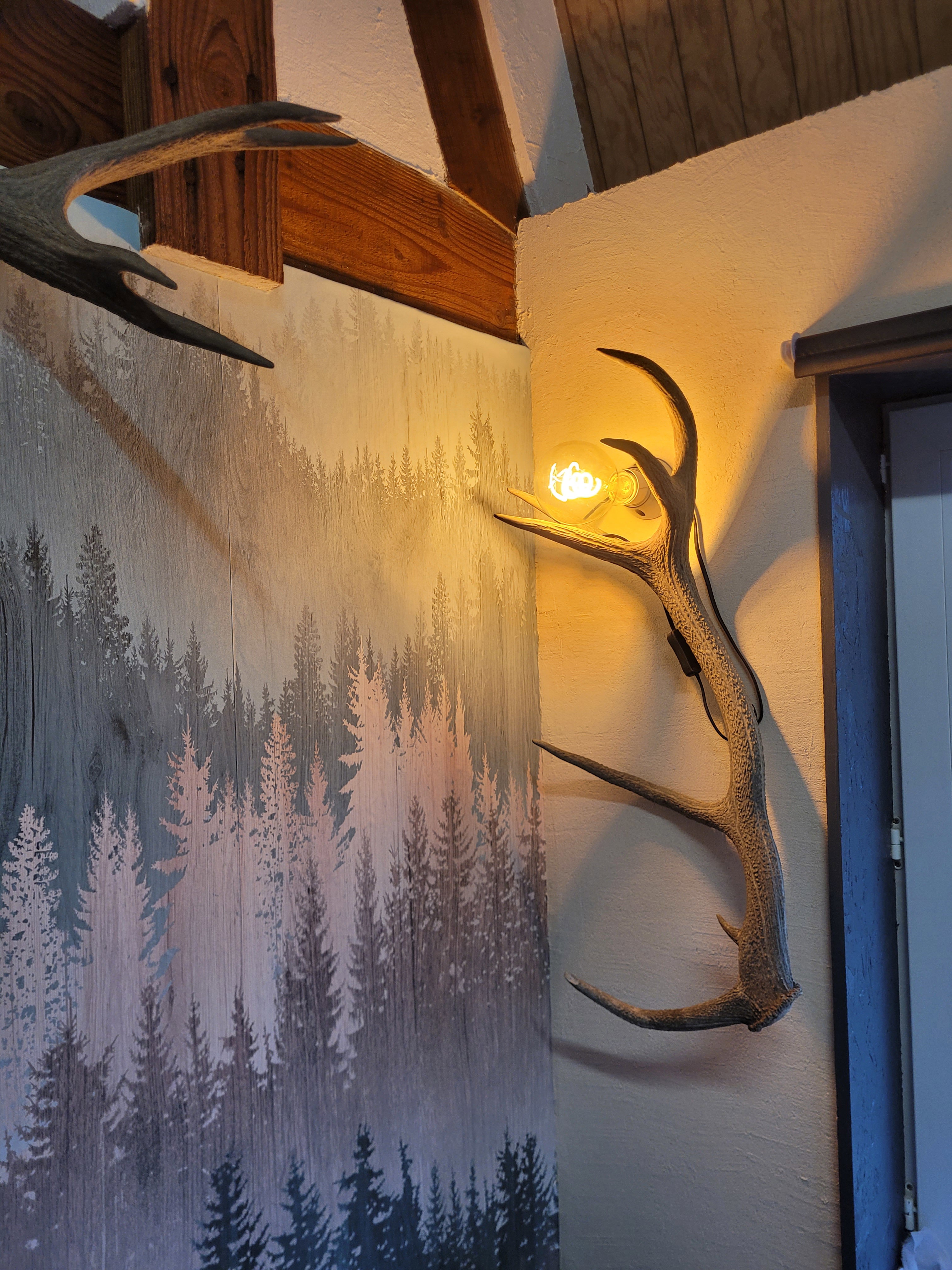 Maison nature à Neuvic