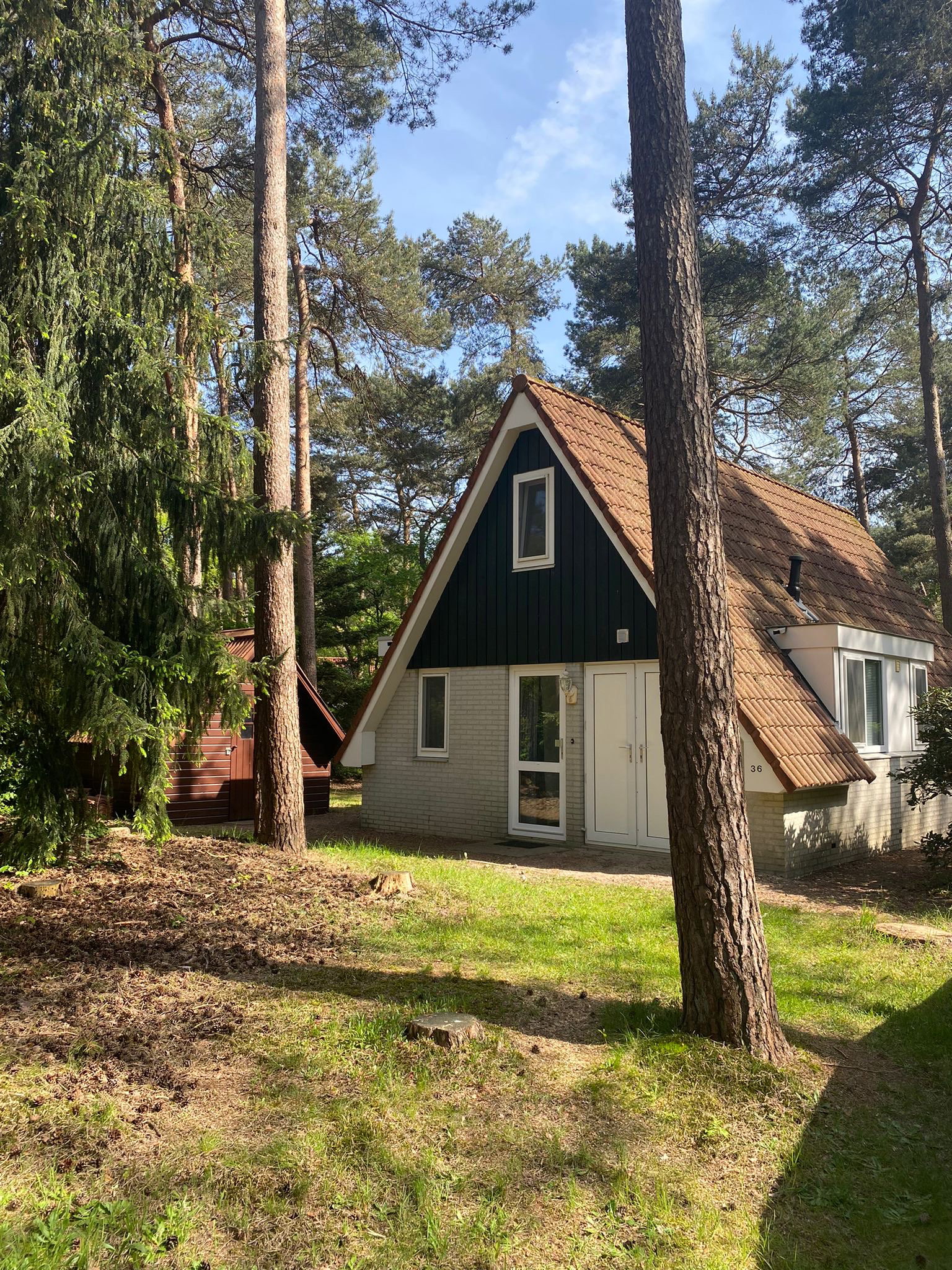 Natuurhuisje in Ommen
