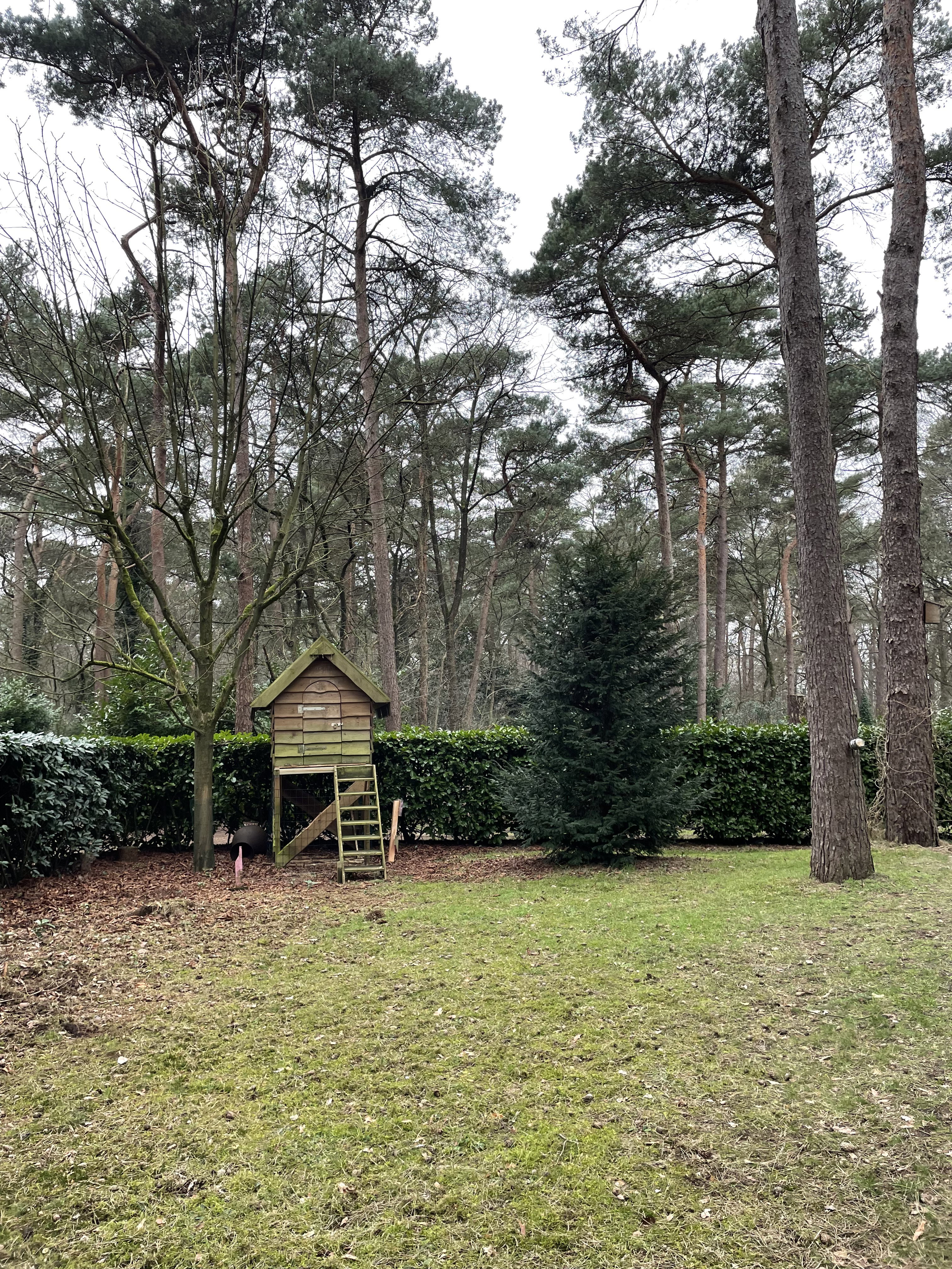 Natuurhuisje in Ommen