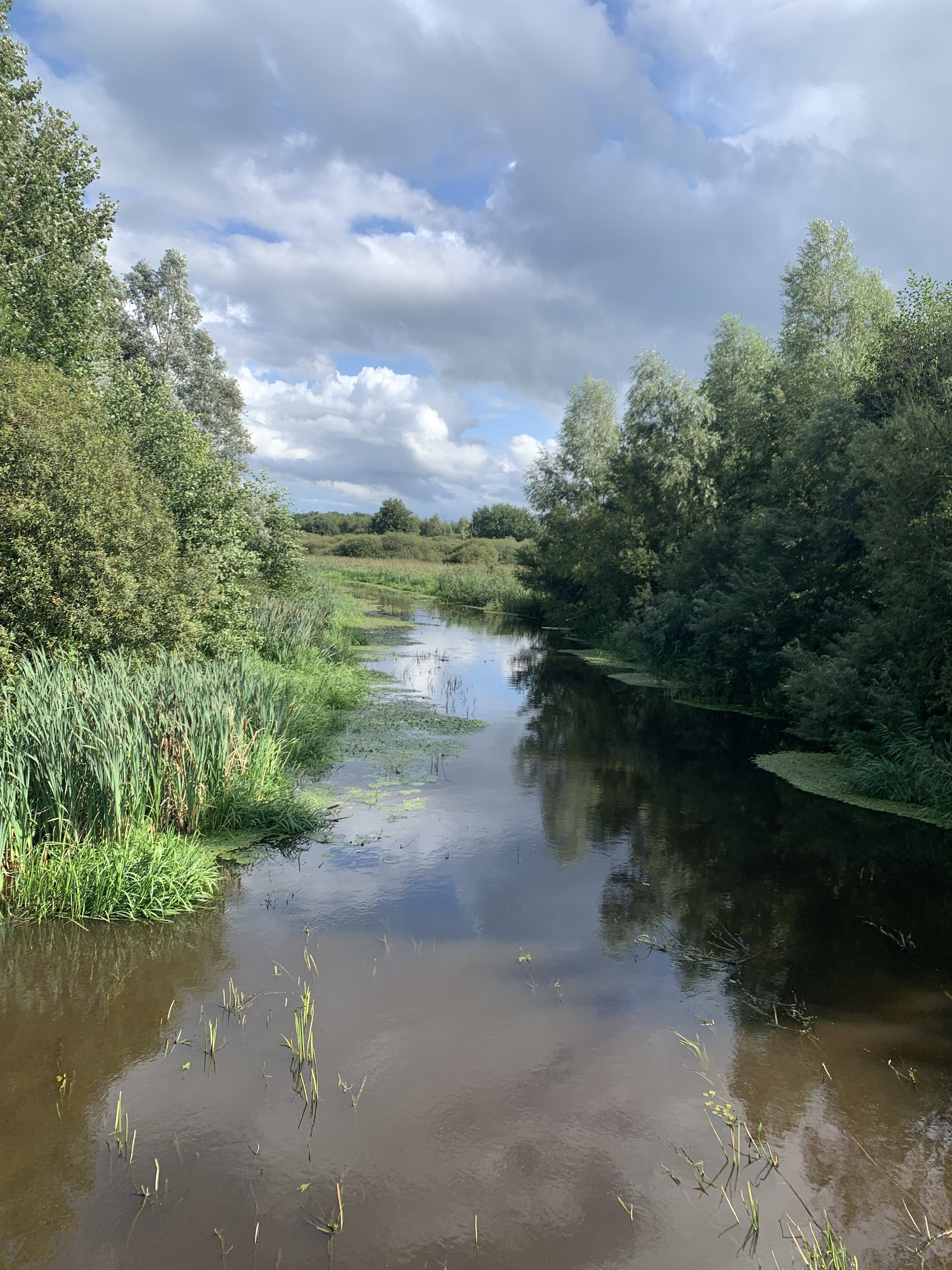 Natuurhuisje in Mariënberg