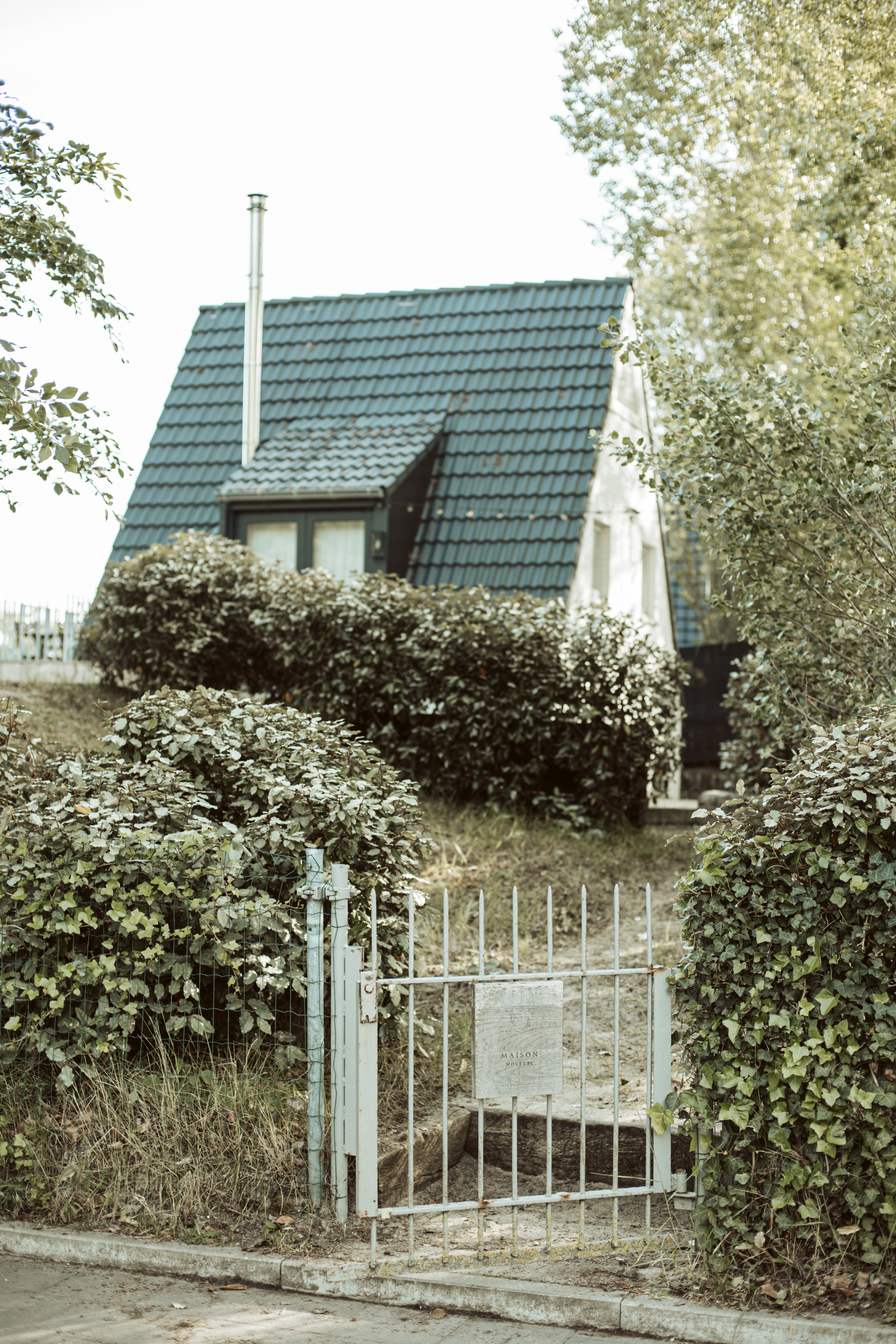 - image: 12