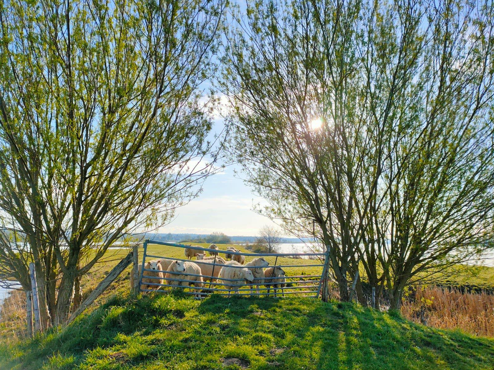 Natuurhuisje in Eck en Wiel